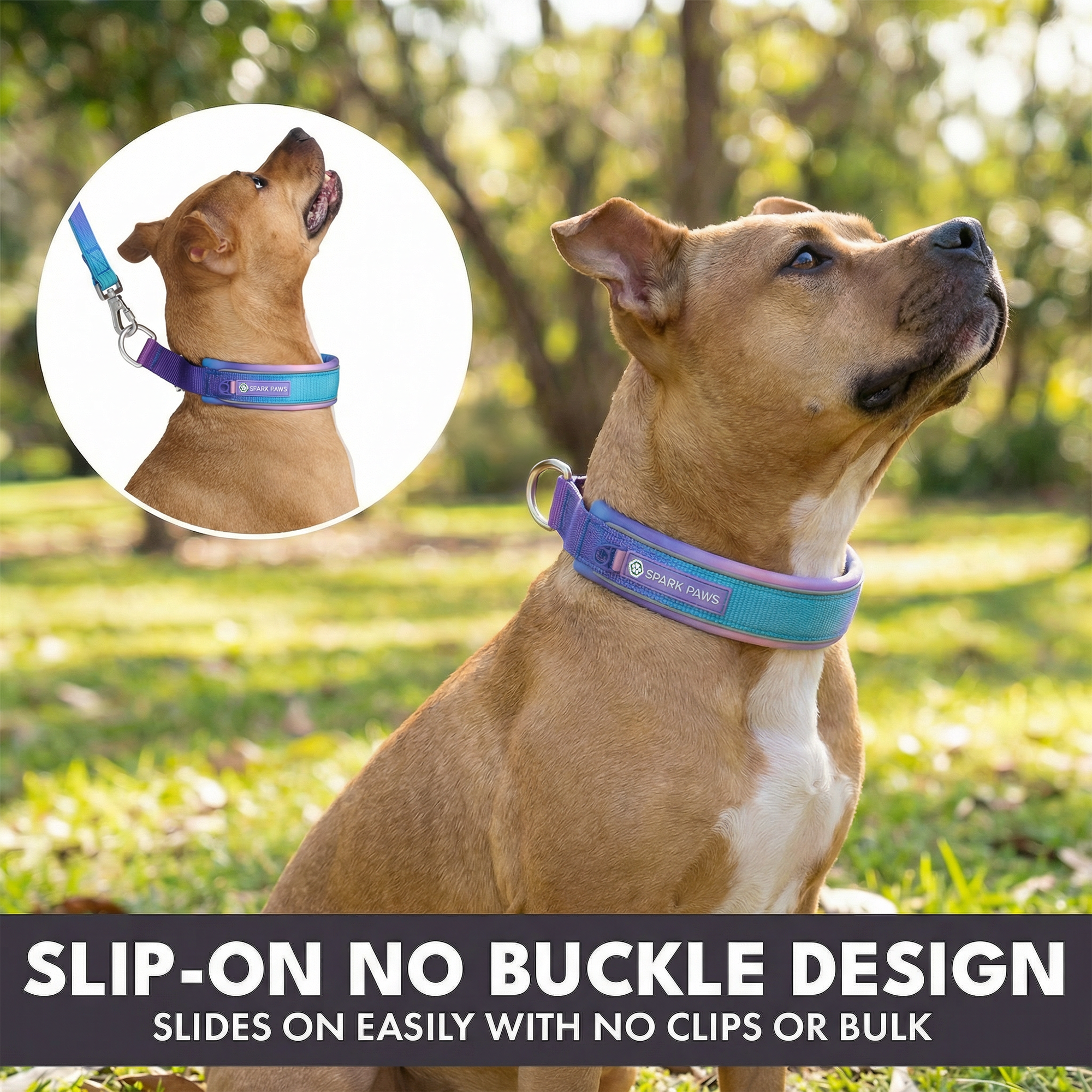 Martingale Collar and Multipurpose Leash Set - 90s Retro - Image 5