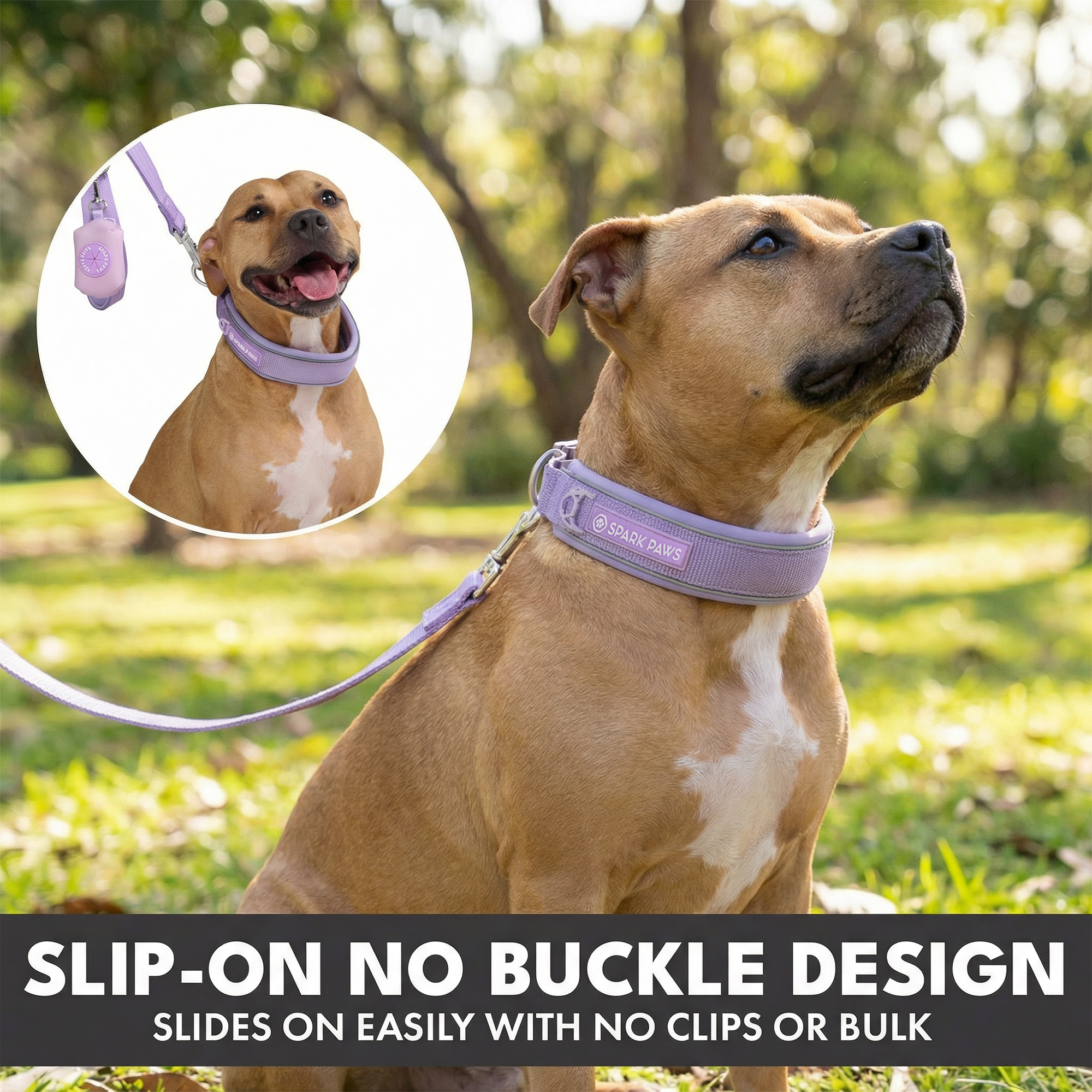 Martingale Collar and Multipurpose Leash Set - Lilac - Image 5
