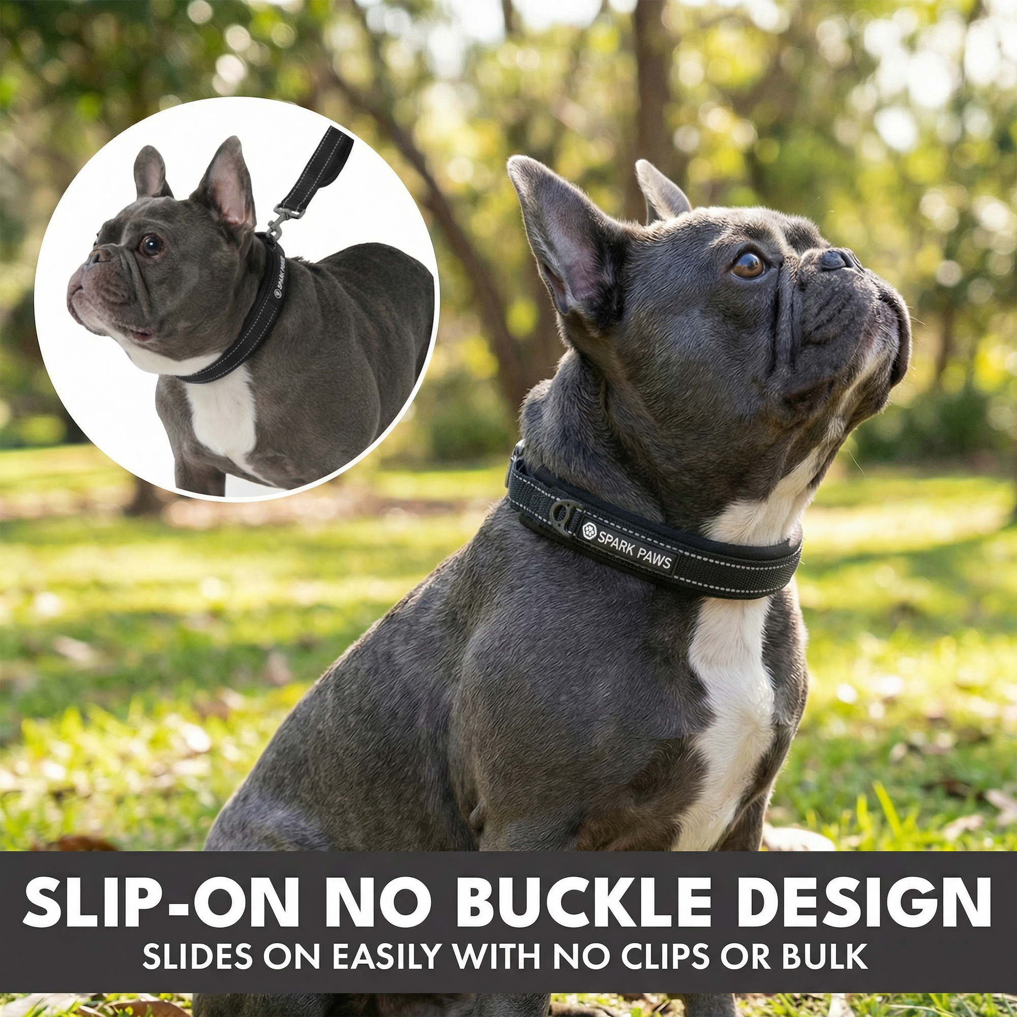 Martingale Collar and Multipurpose Leash Set - Black - Image 4