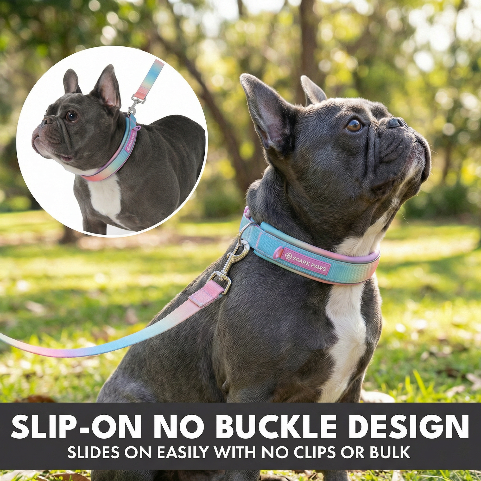 Martingale Collar and Multipurpose Leash Set - Pastel Icing - Image 4