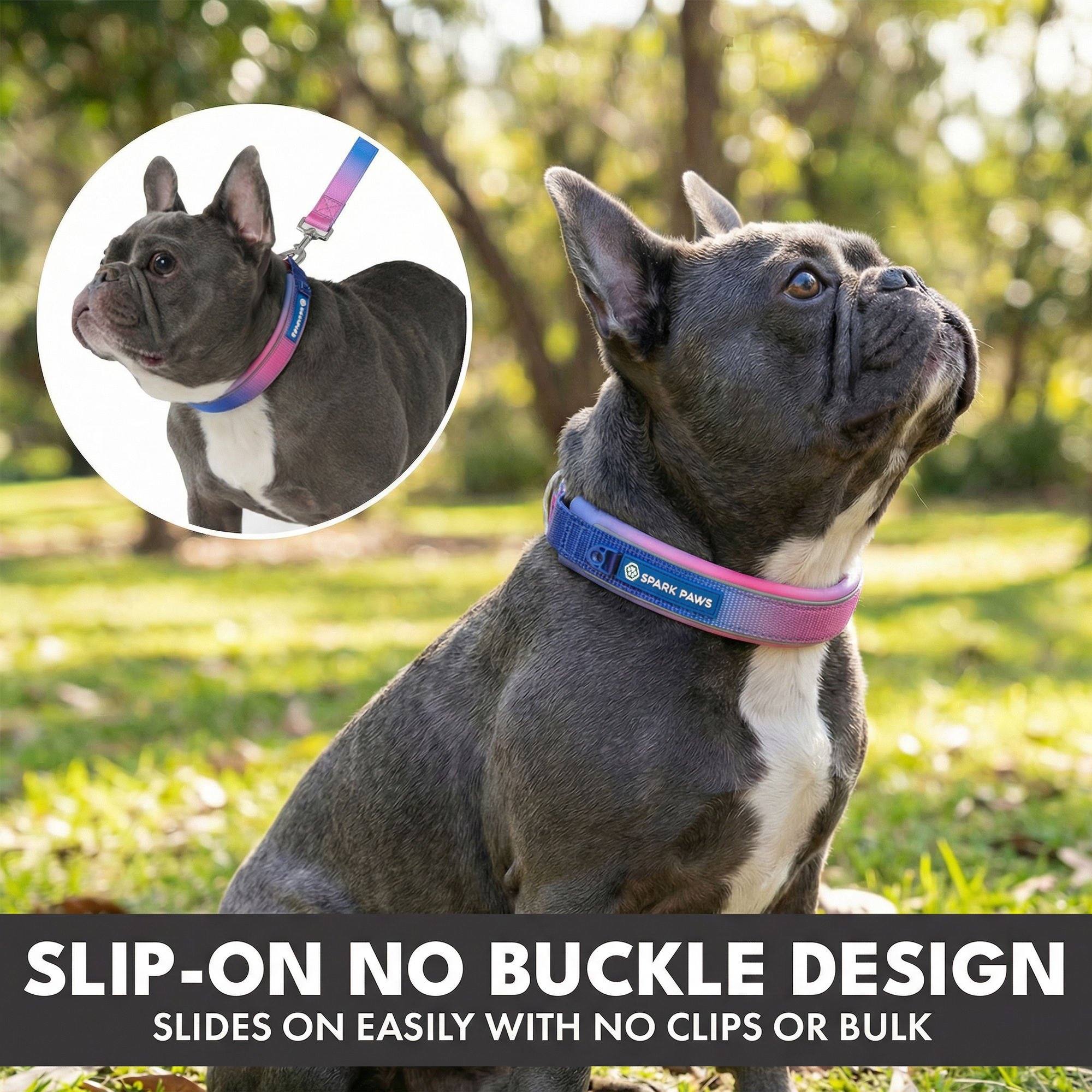 Martingale Collar and Multipurpose Leash Set - Snow Cone - Image 4