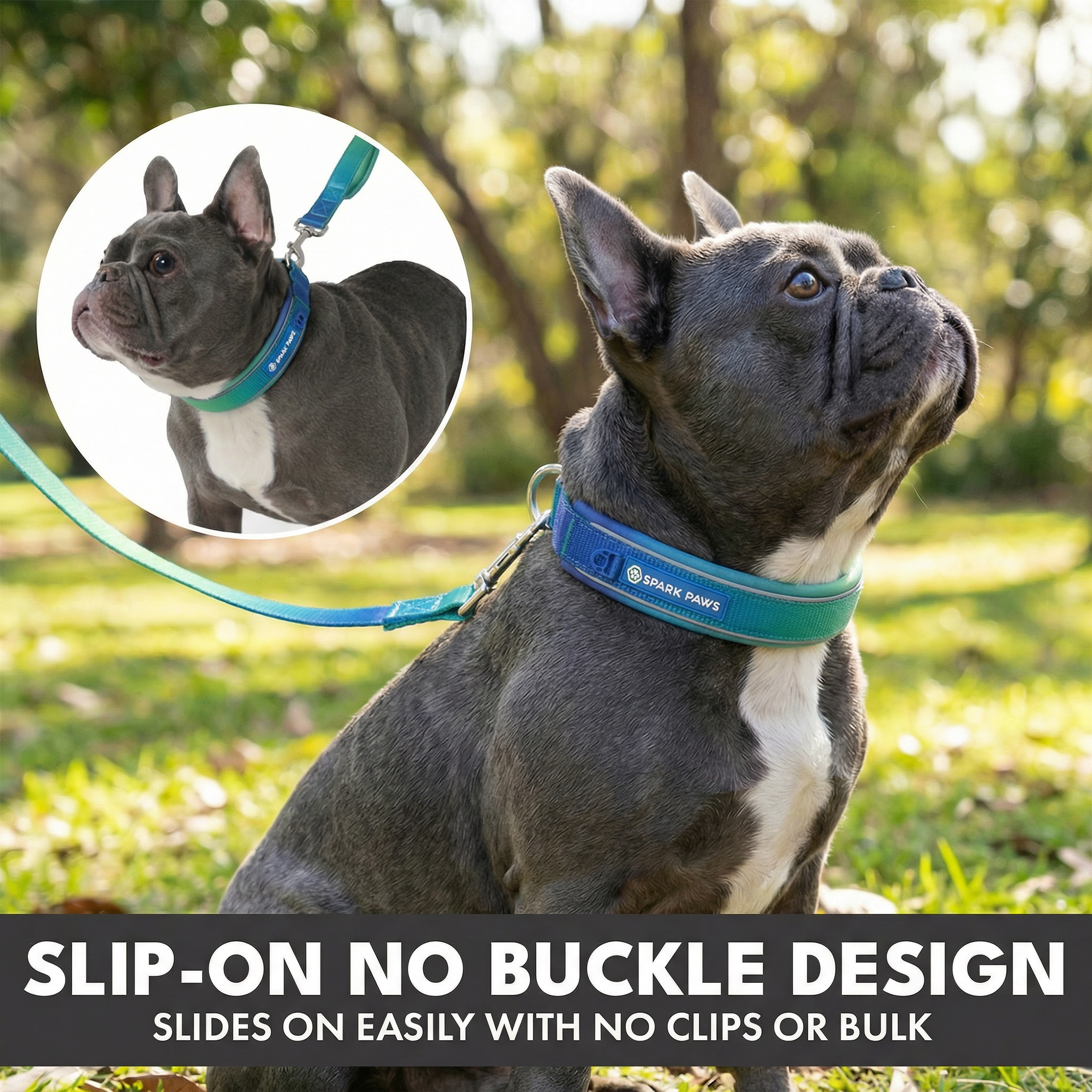 Martingale Collar and Multipurpose Leash Set - Lime Wave - Image 4
