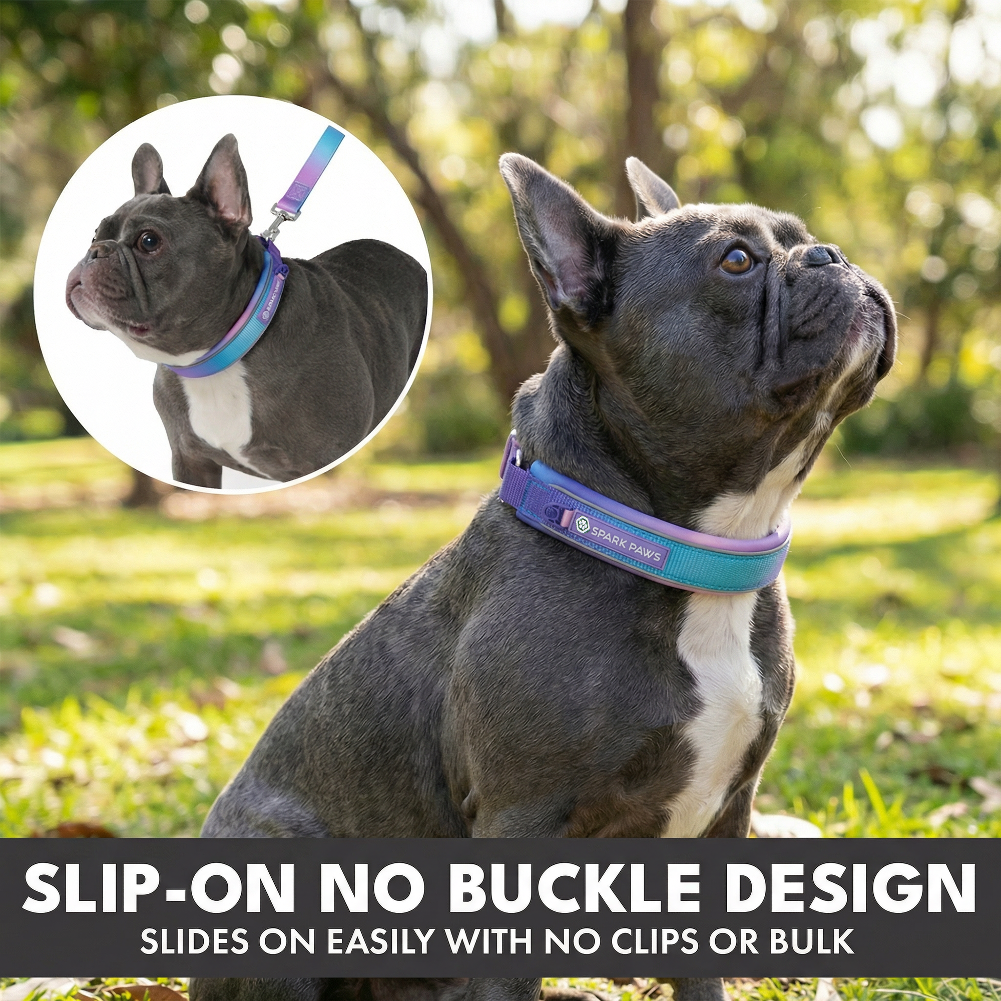 Martingale Collar and Multipurpose Leash Set - 90s Retro - Image 4