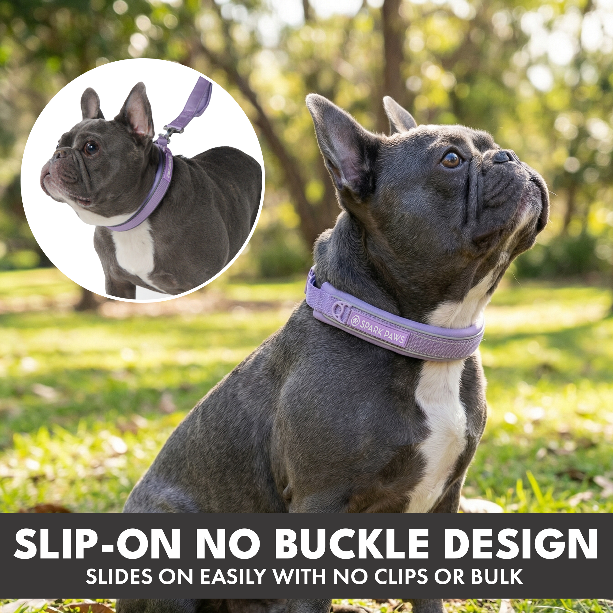 Martingale Collar and Multipurpose Leash Set - Lilac - Image 4