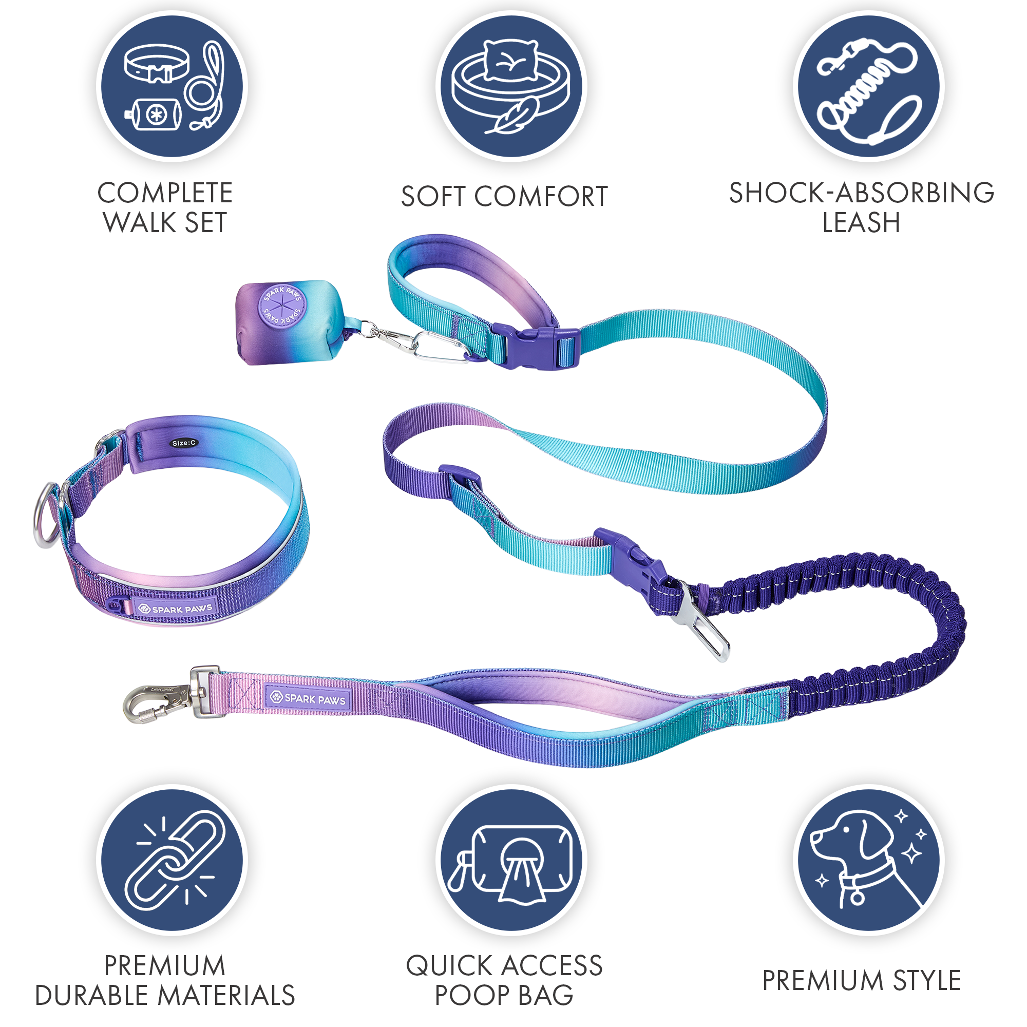 Martingale Collar and Multipurpose Leash Set - 90s Retro - Image 8