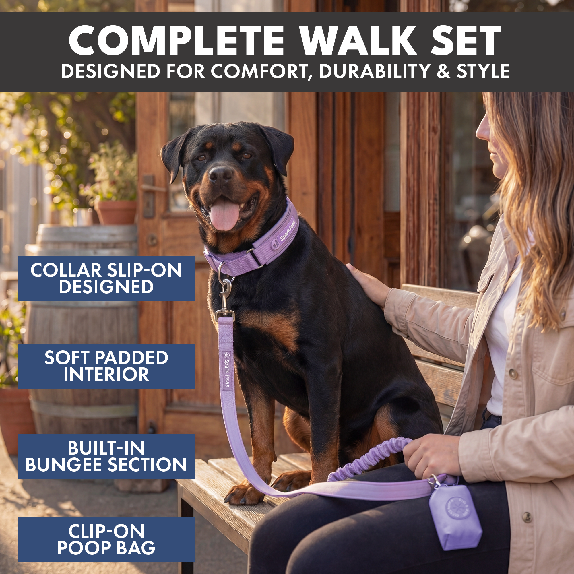 Martingale Collar and Multipurpose Leash Set - Lilac - Image 7