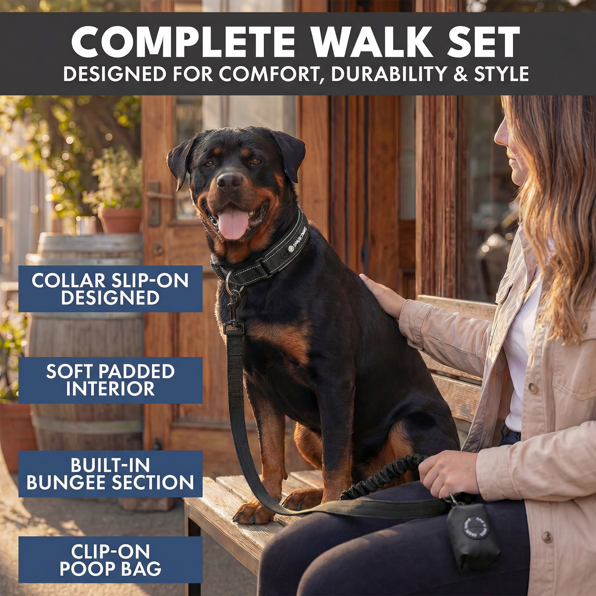 Martingale Collar and Multipurpose Leash Set - Black - Image 7