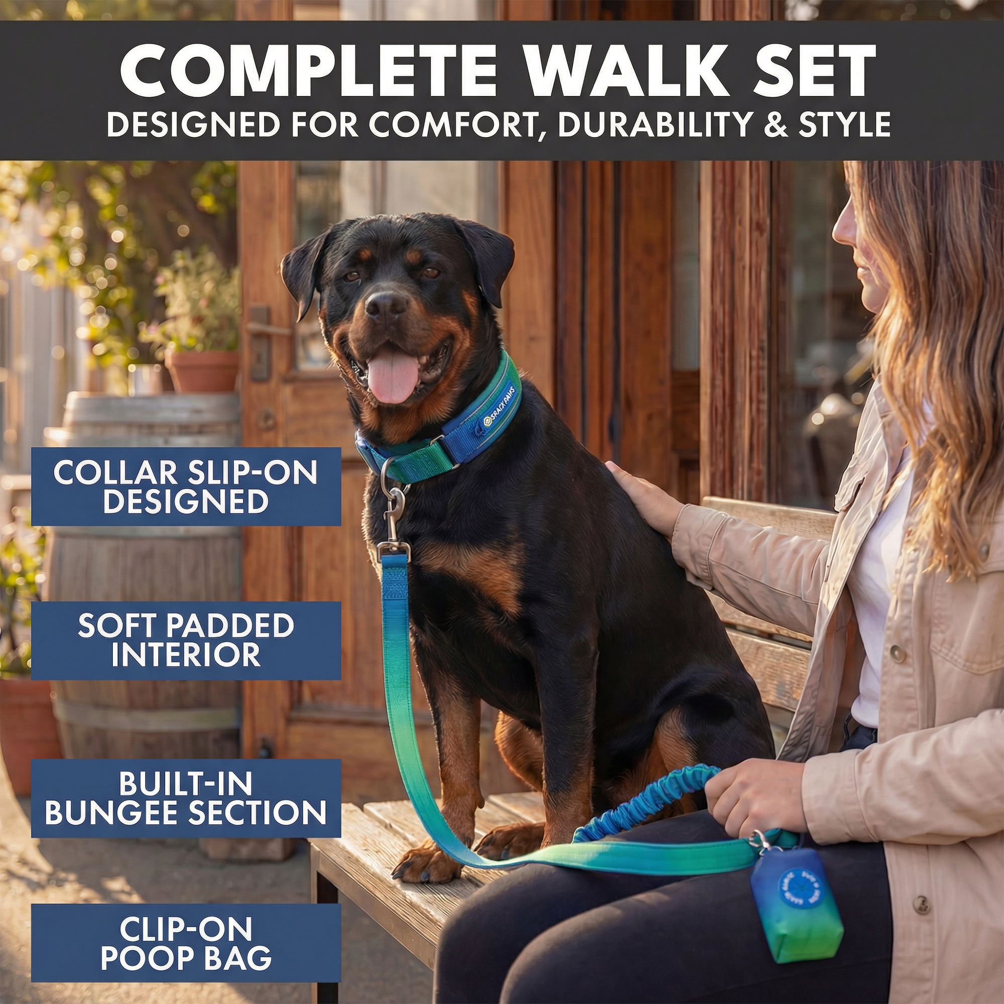 Martingale Collar and Multipurpose Leash Set - Lime Wave - Image 7