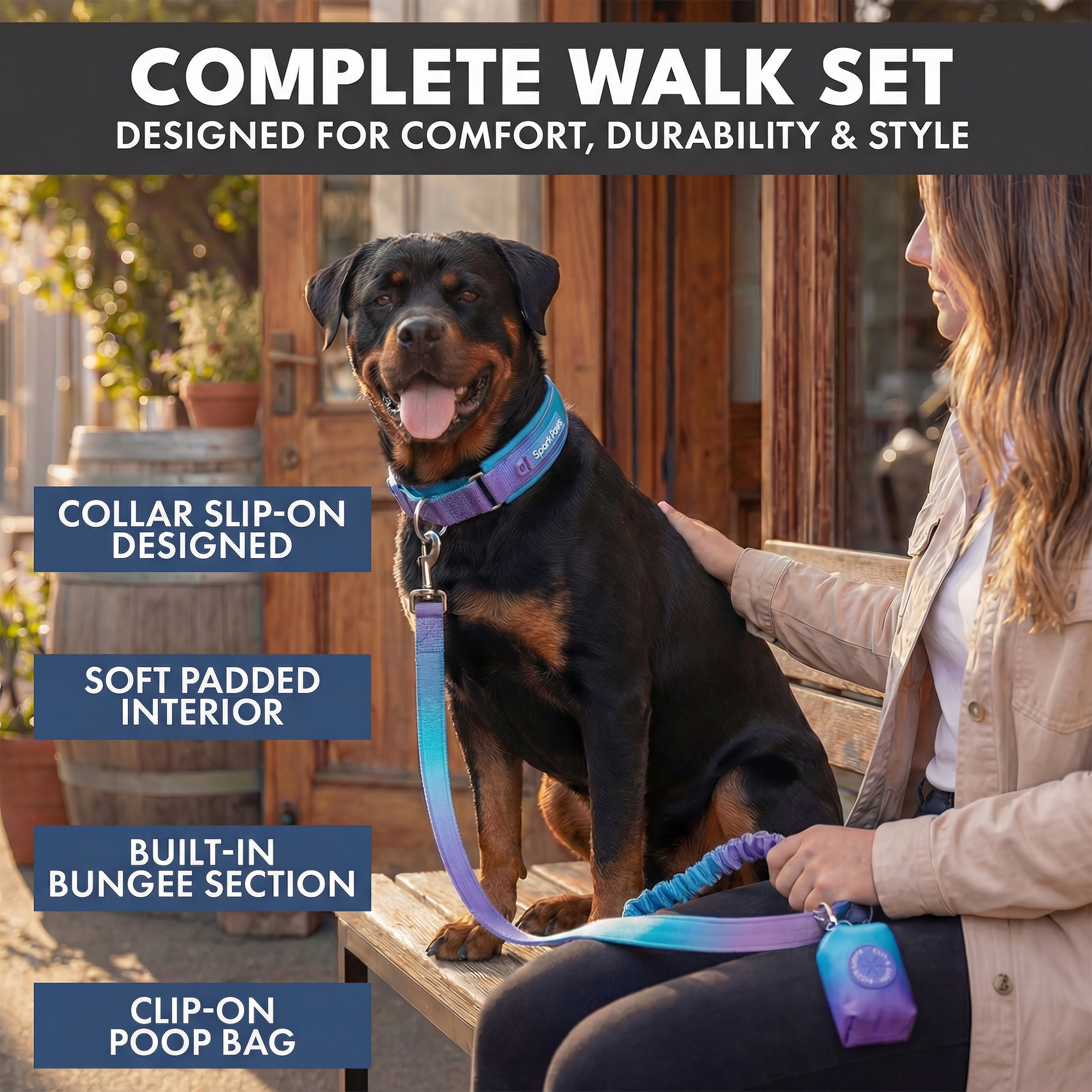 Martingale Collar and Multipurpose Leash Set - 90s Retro - Image 7