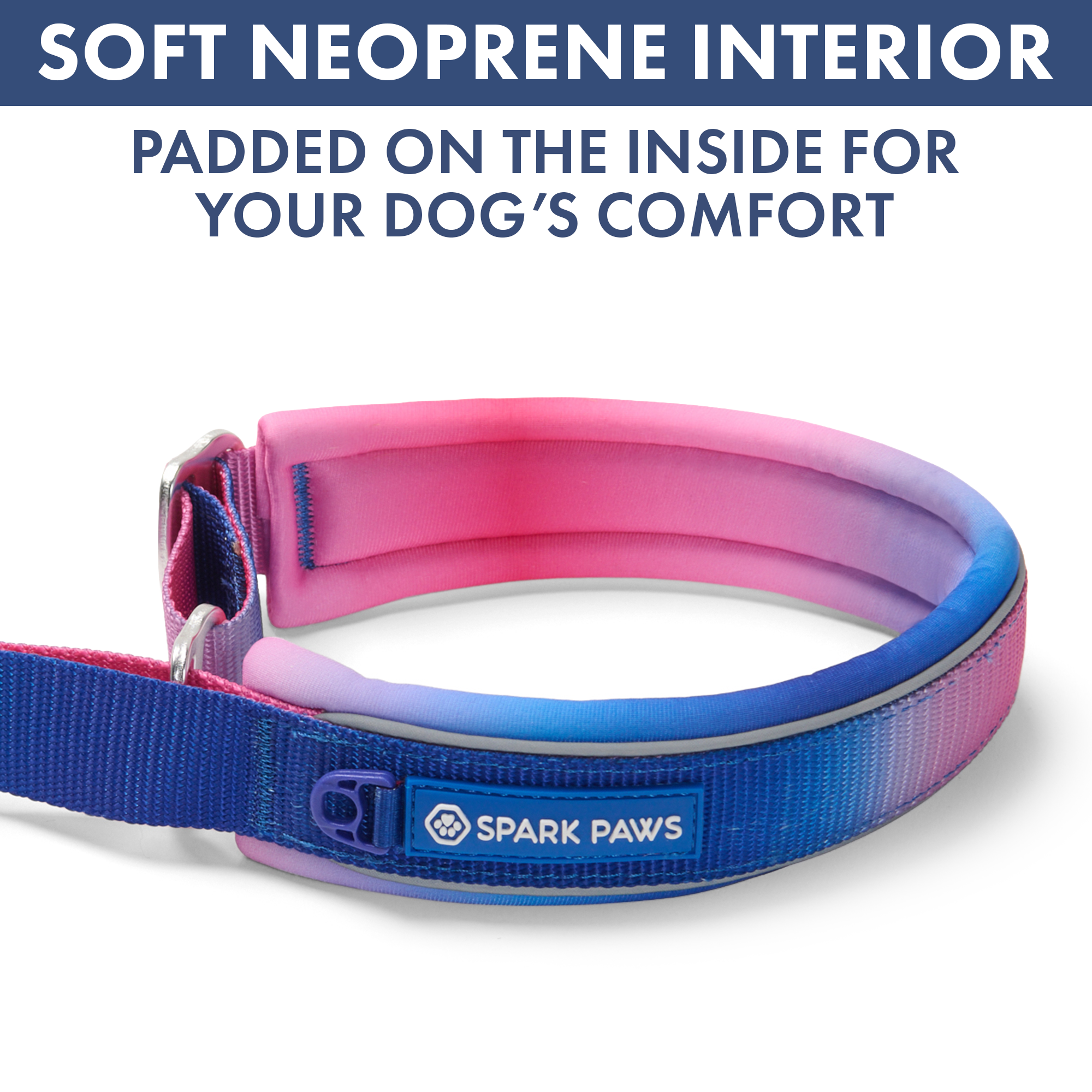 Martingale Collar and Multipurpose Leash Set - Snow Cone - Image 6