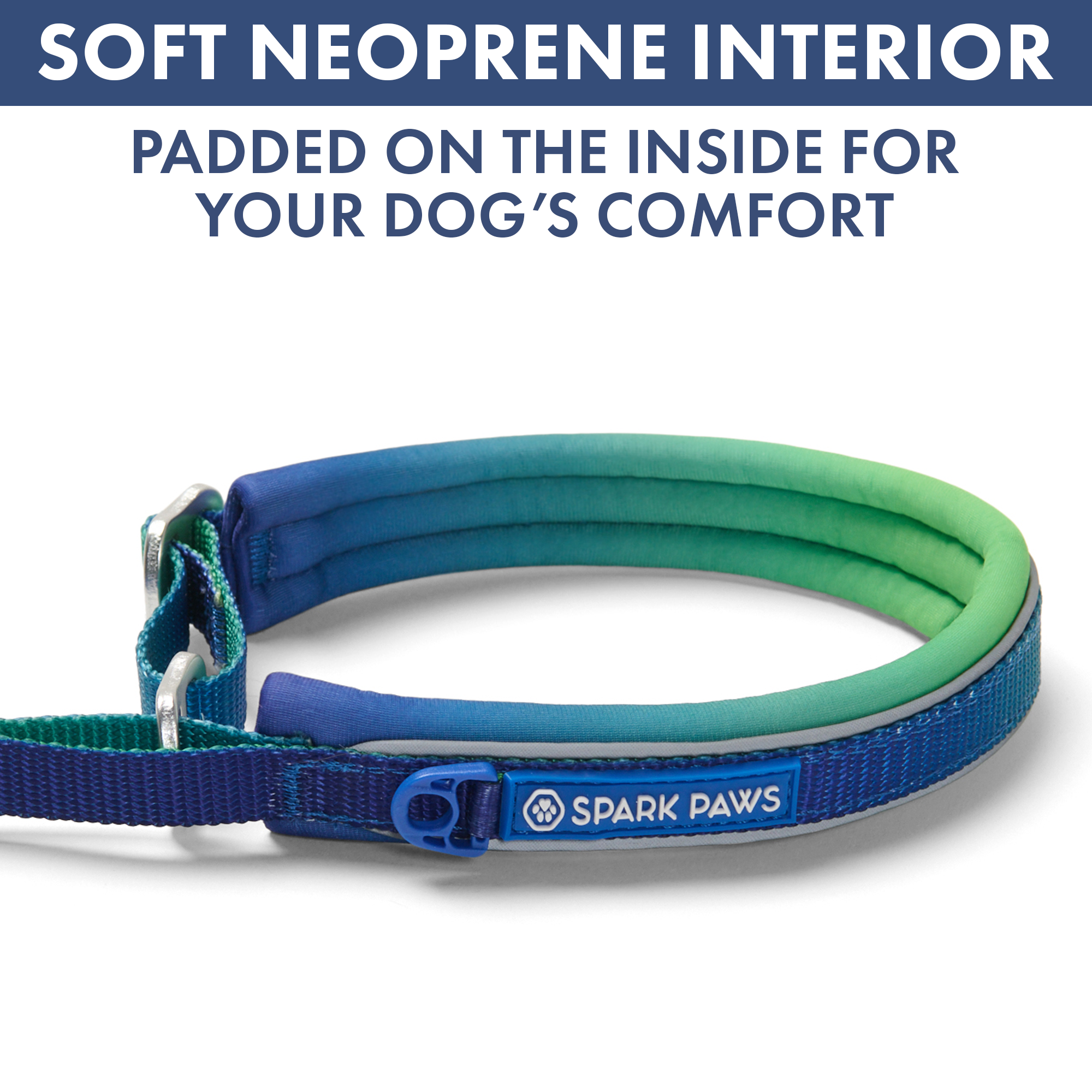 Martingale Collar and Multipurpose Leash Set - Lime Wave - Image 6