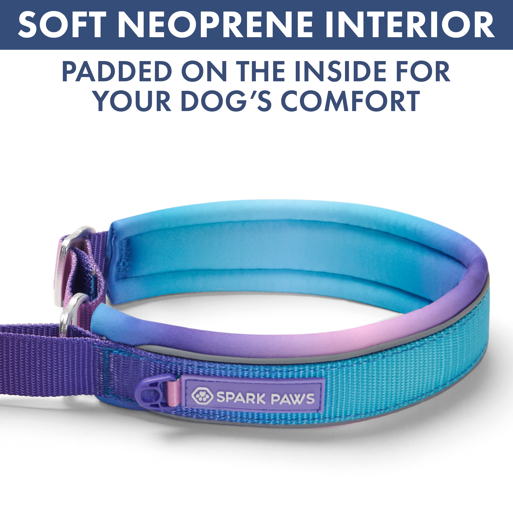 Martingale Collar and Multipurpose Leash Set - 90s Retro - Image 6
