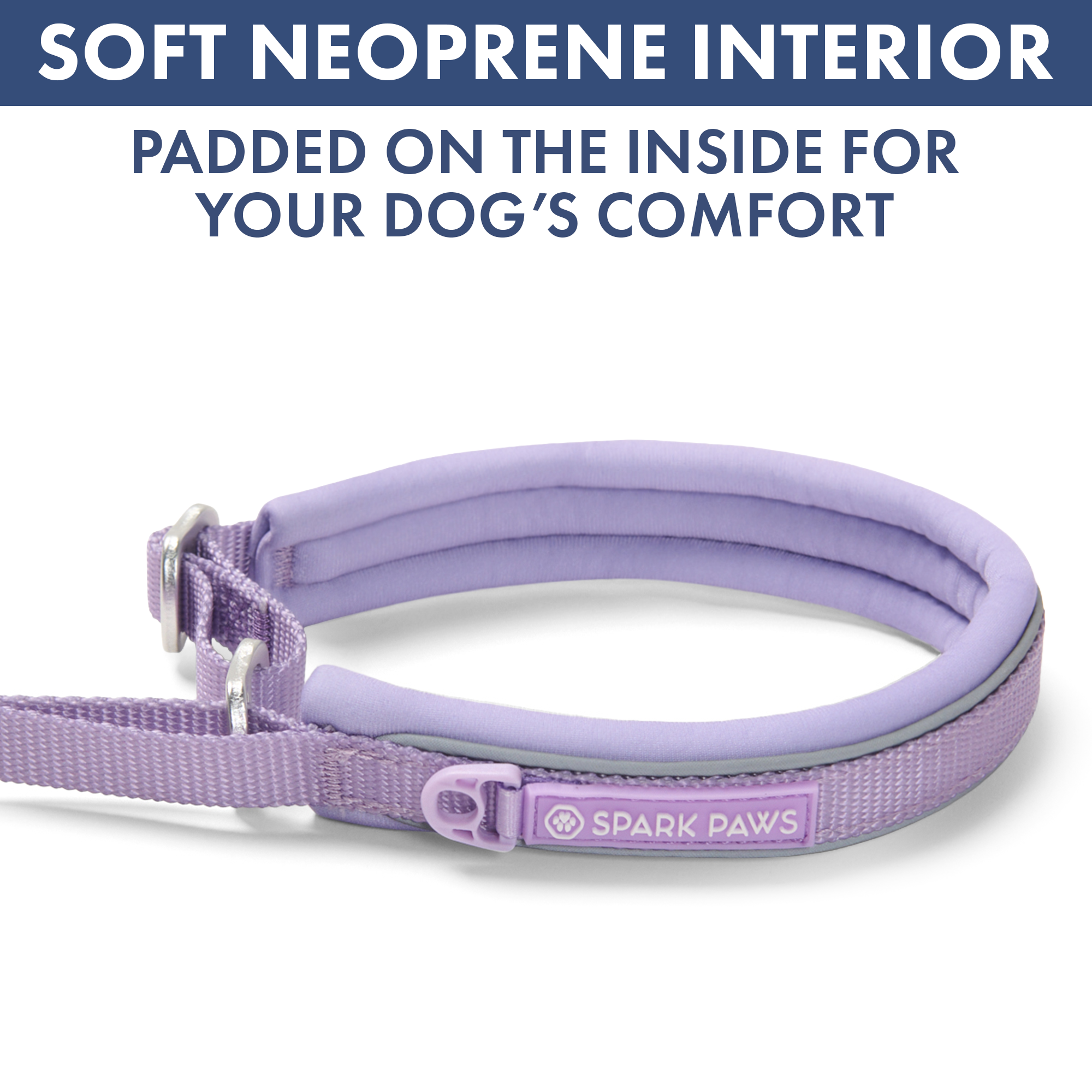 Martingale Collar and Multipurpose Leash Set - Lilac - Image 6