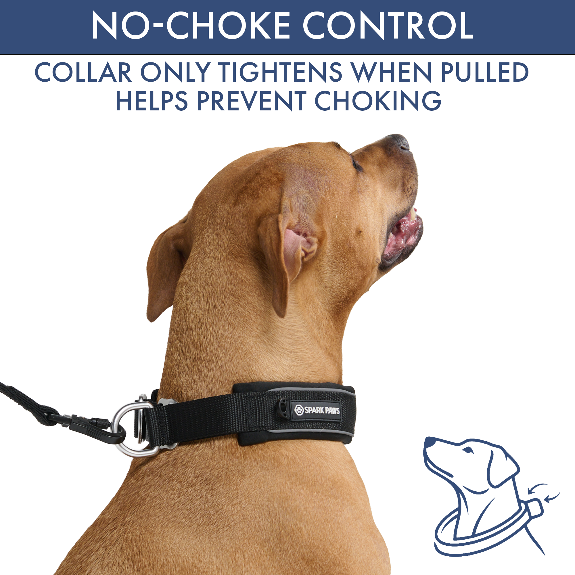Martingale Collar and Multipurpose Leash Set - Black - Image 3