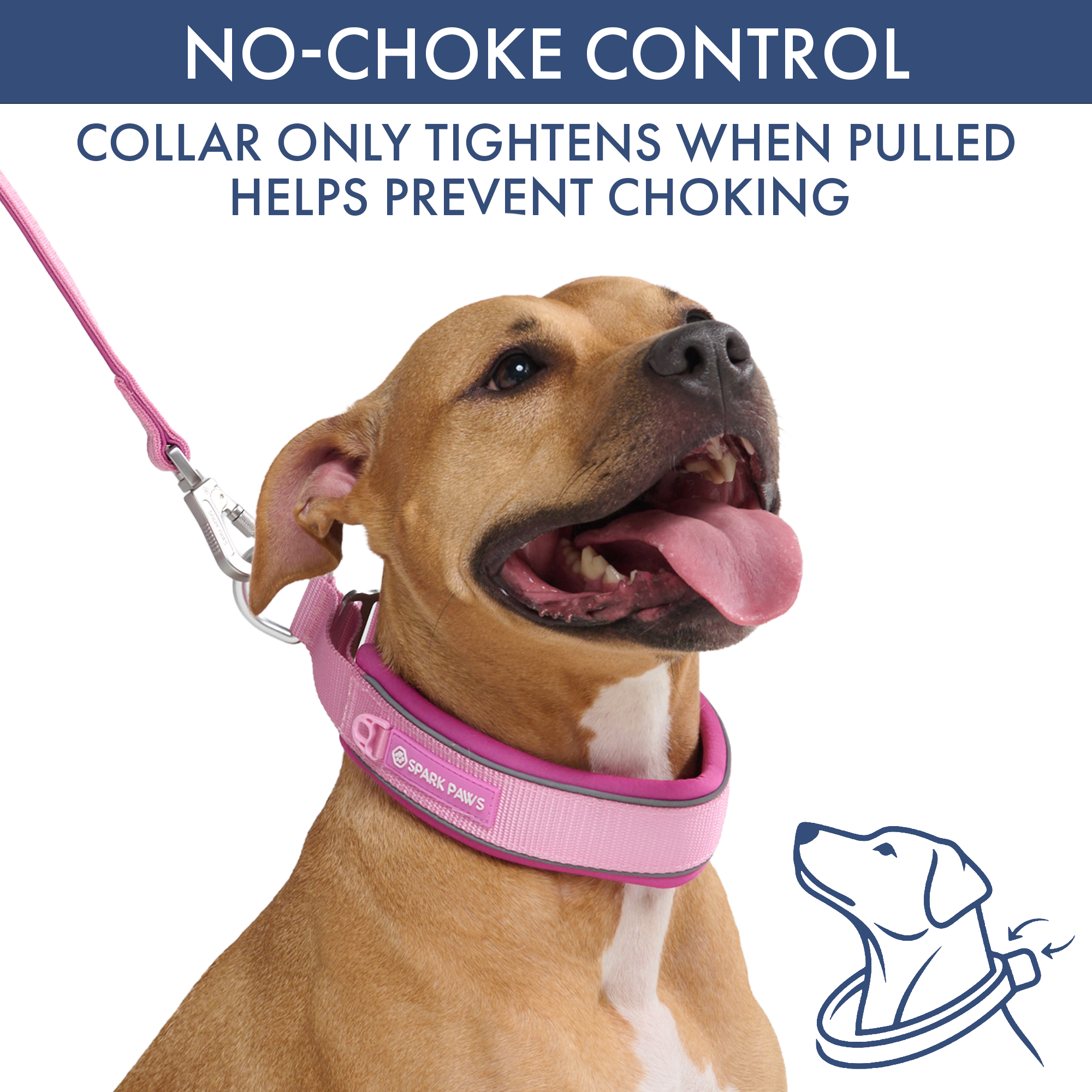 Martingale Collar and Multipurpose Leash Set - Pink - Image 3