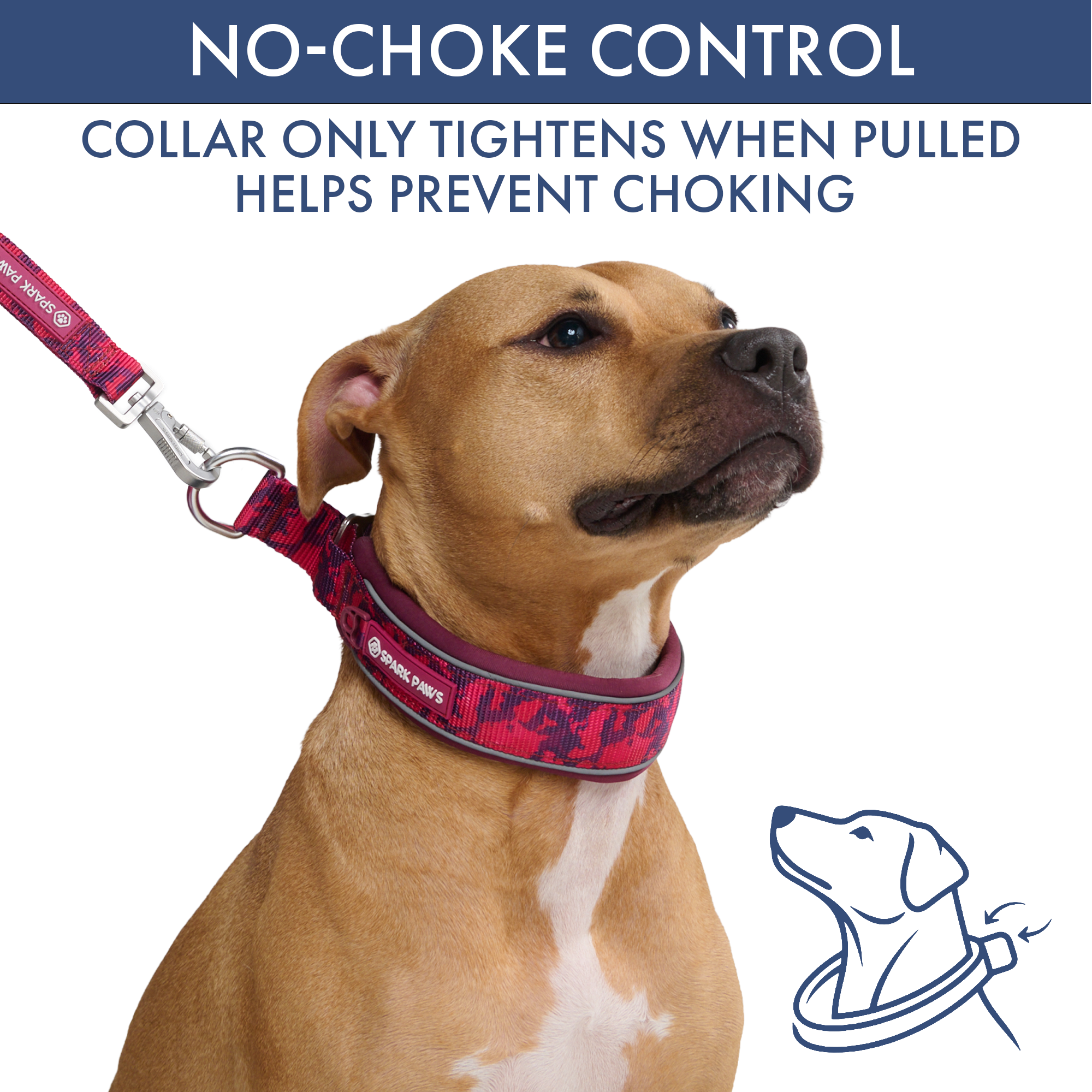 Martingale Collar and Multipurpose Leash Set - Fuchsia Camo - Image 3