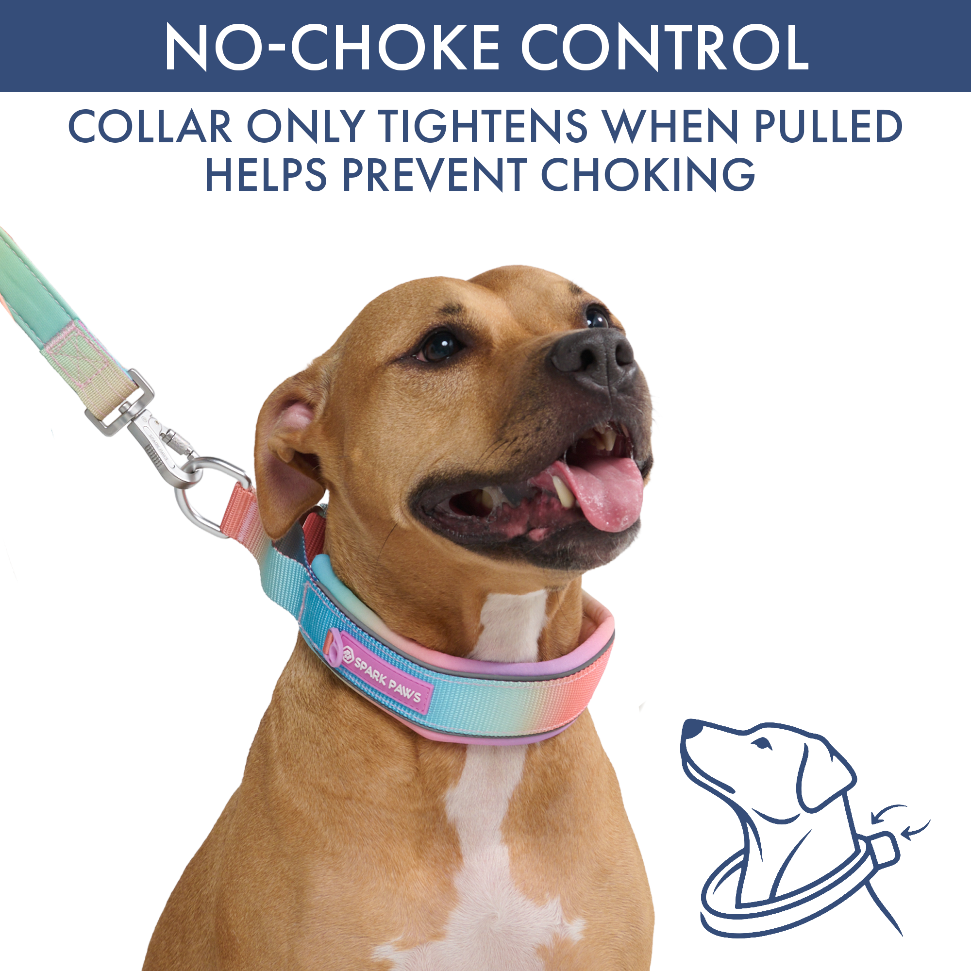 Martingale Collar and Multipurpose Leash Set - Pastel Icing - Image 3