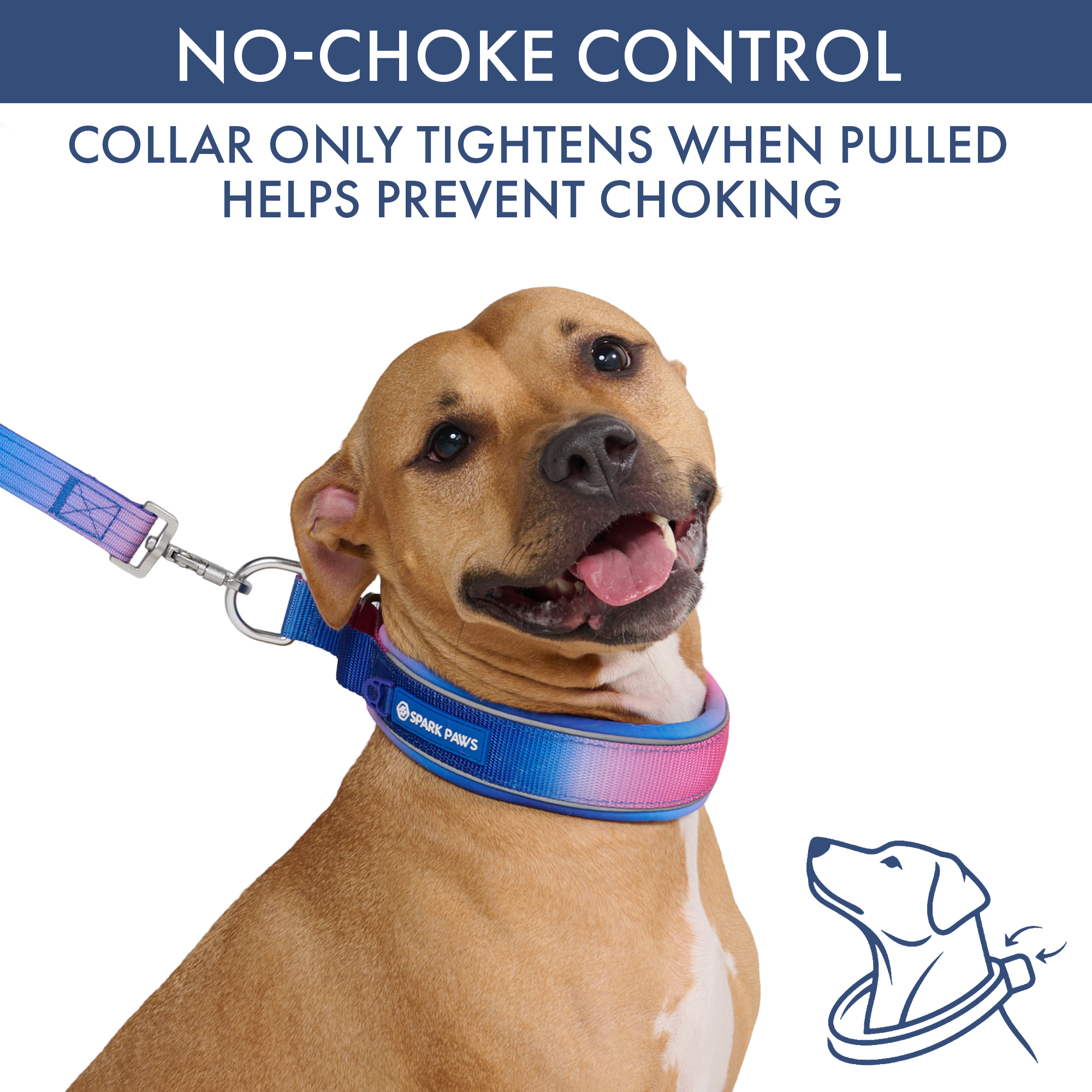 Martingale Collar and Multipurpose Leash Set - Snow Cone - Image 3