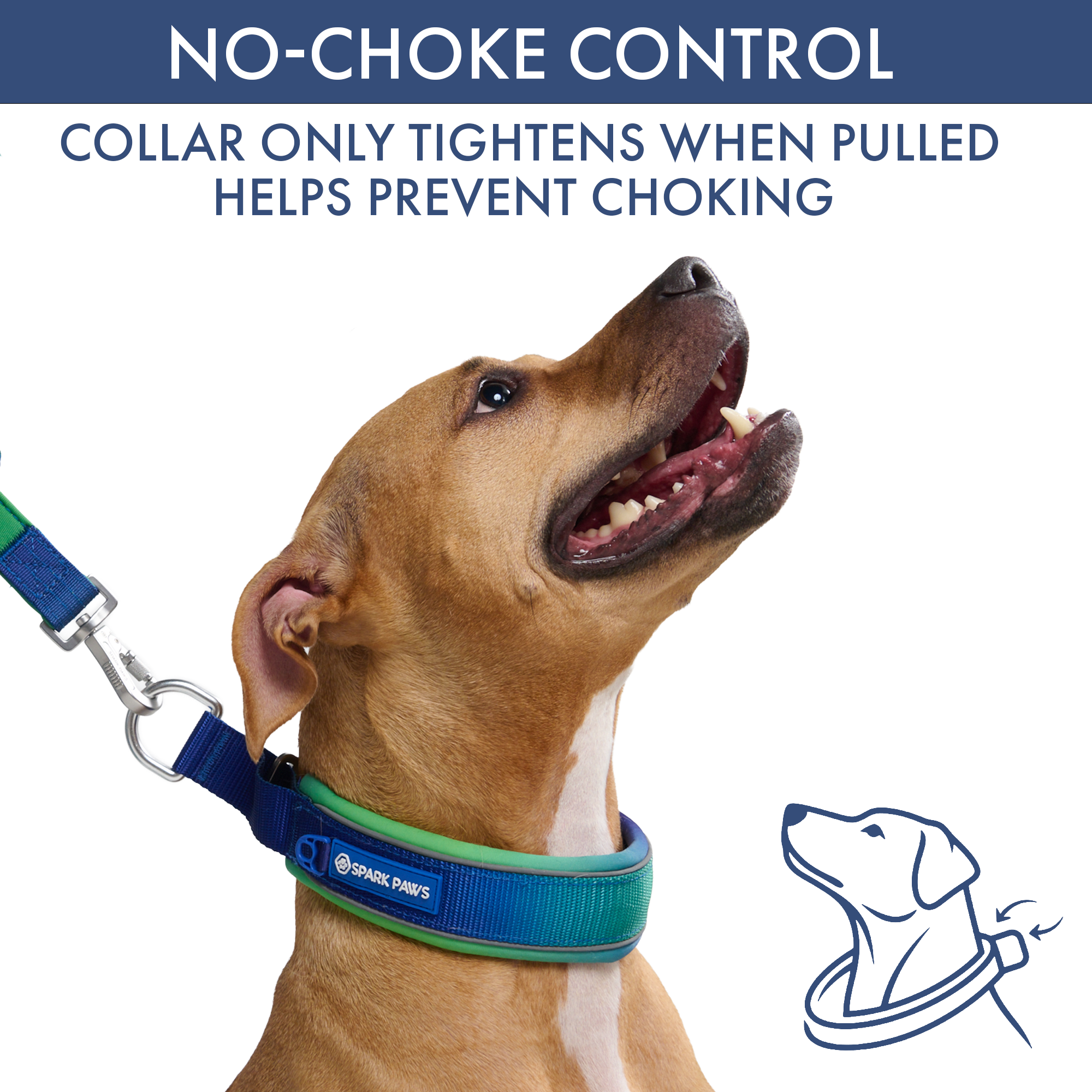 Martingale Collar and Multipurpose Leash Set - Lime Wave - Image 3