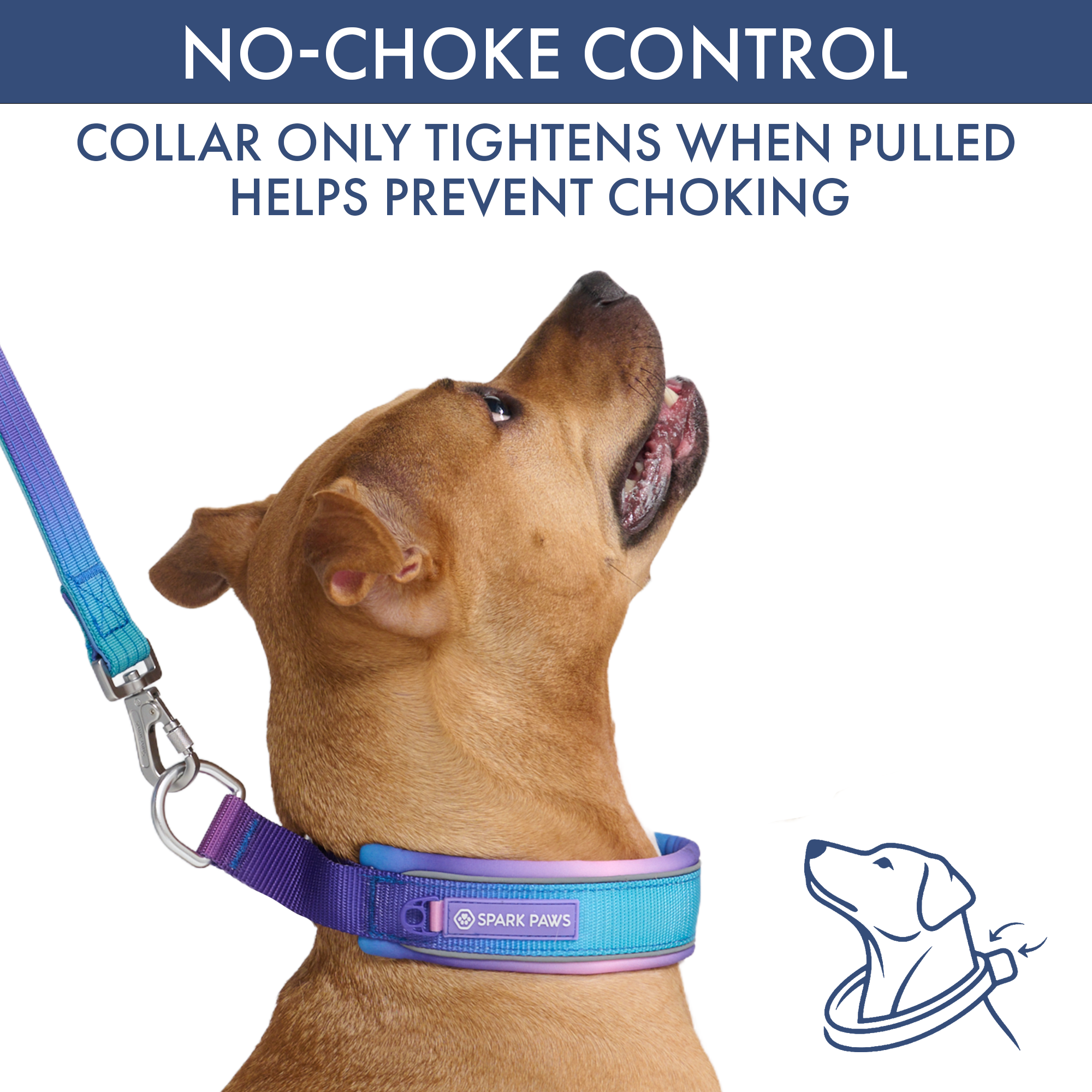 Martingale Collar and Multipurpose Leash Set - 90s Retro - Image 3