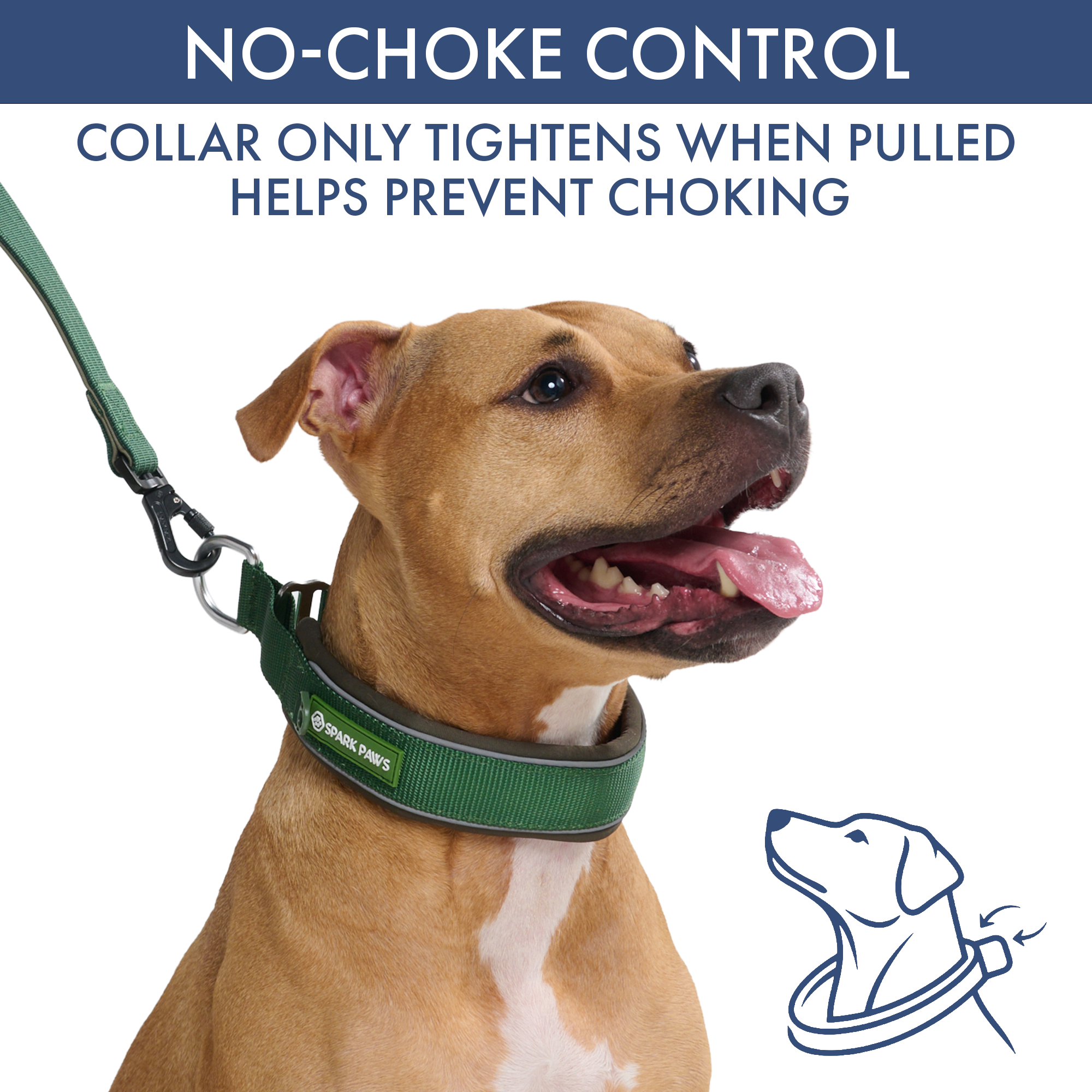 Martingale Collar and Multipurpose Leash Set - Army Green - Image 3