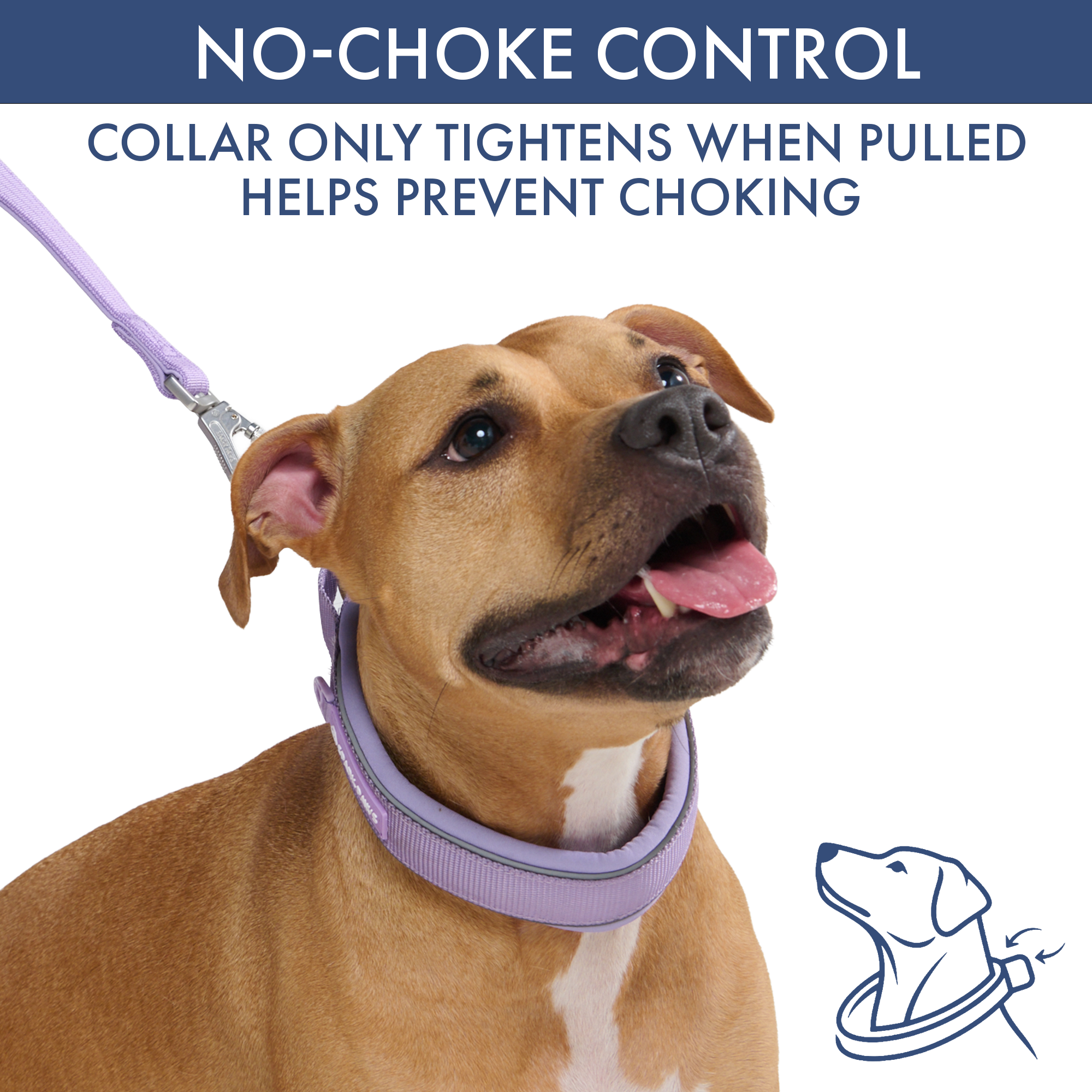 Martingale Collar and Multipurpose Leash Set - Lilac - Image 3