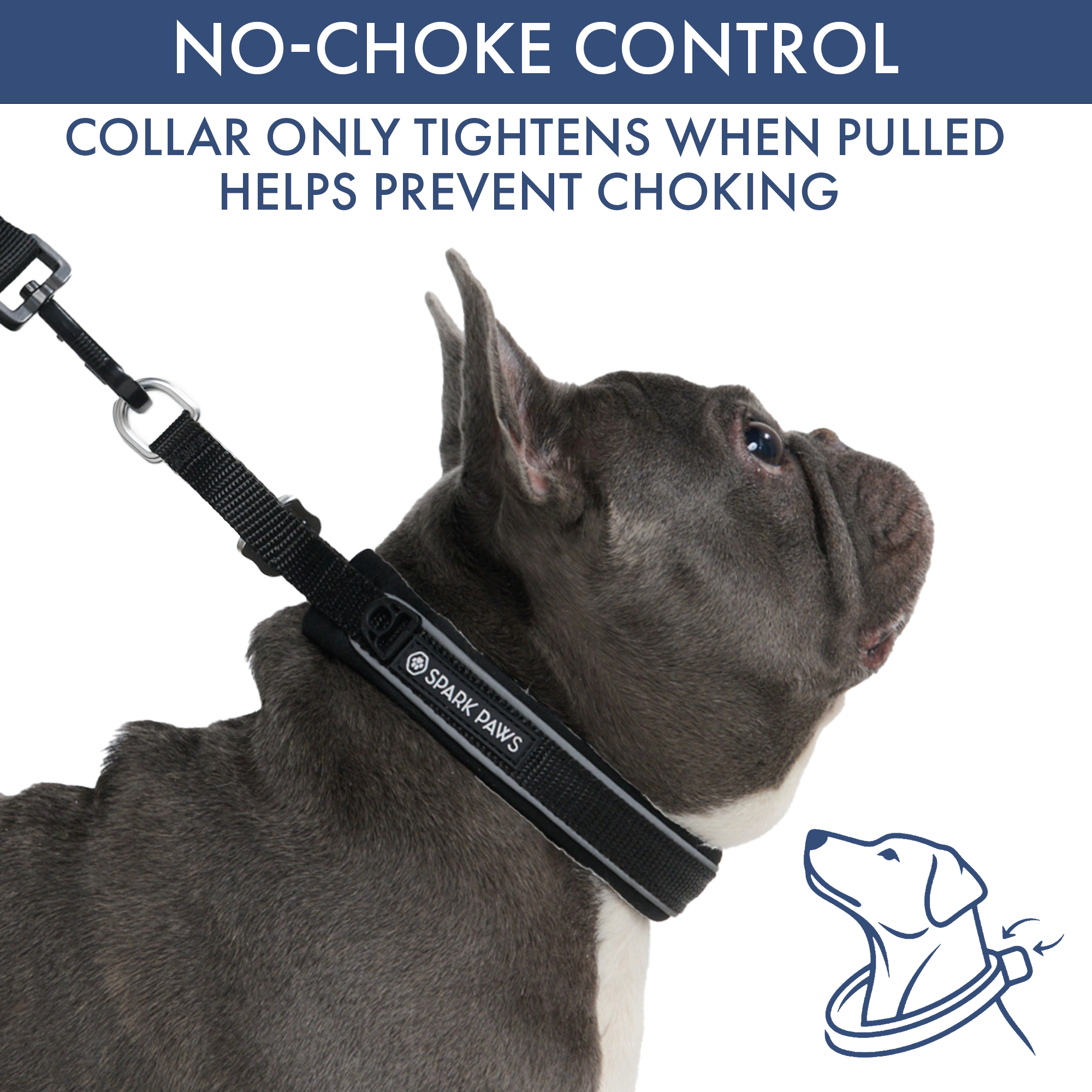 Martingale Collar and Multipurpose Leash Set - Black - Image 2