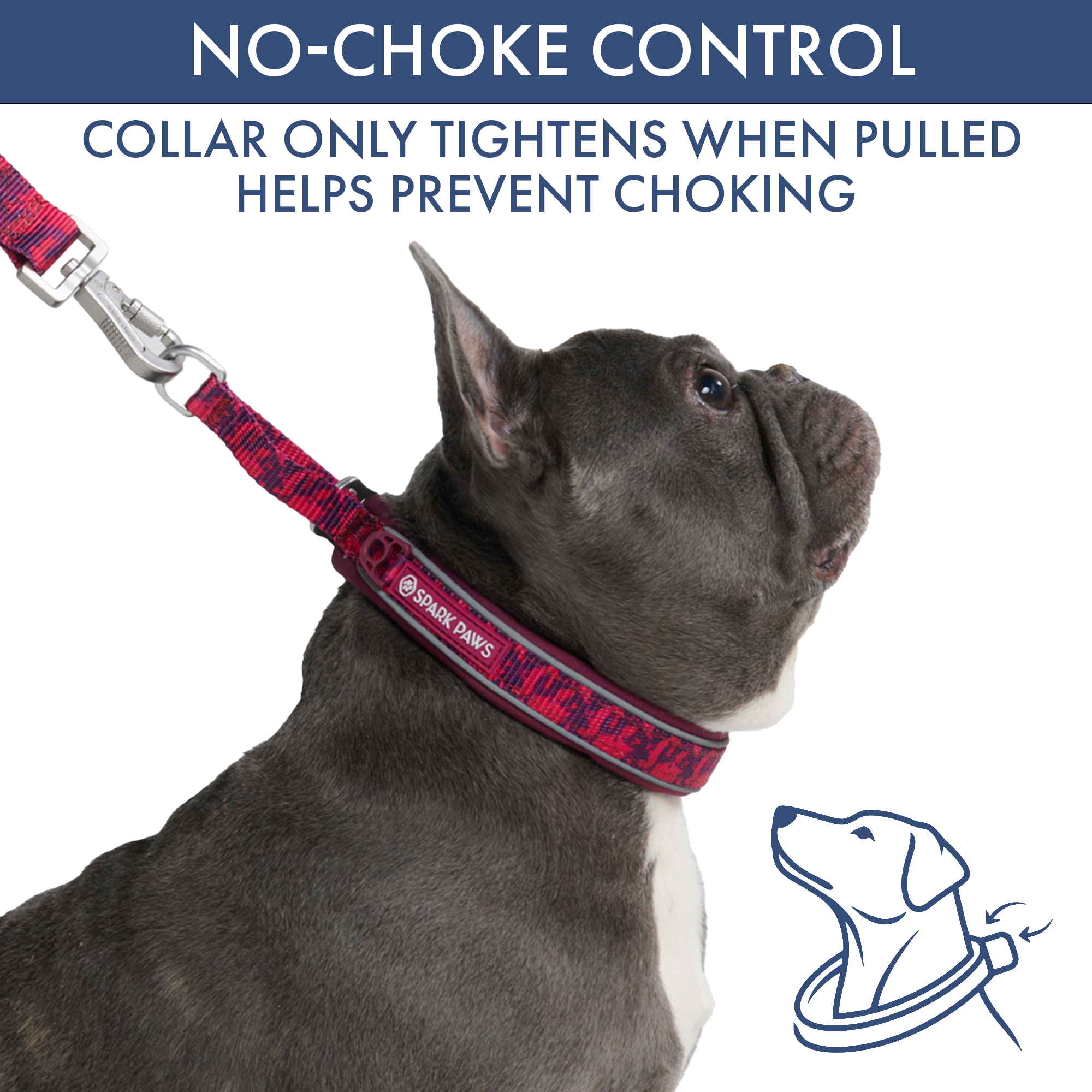 Martingale Collar and Multipurpose Leash Set - Fuchsia Camo - Image 2