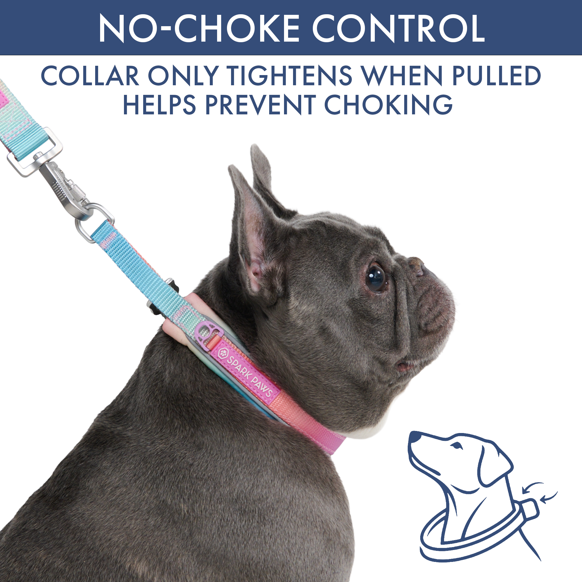 Martingale Collar and Multipurpose Leash Set - Pastel Icing - Image 2