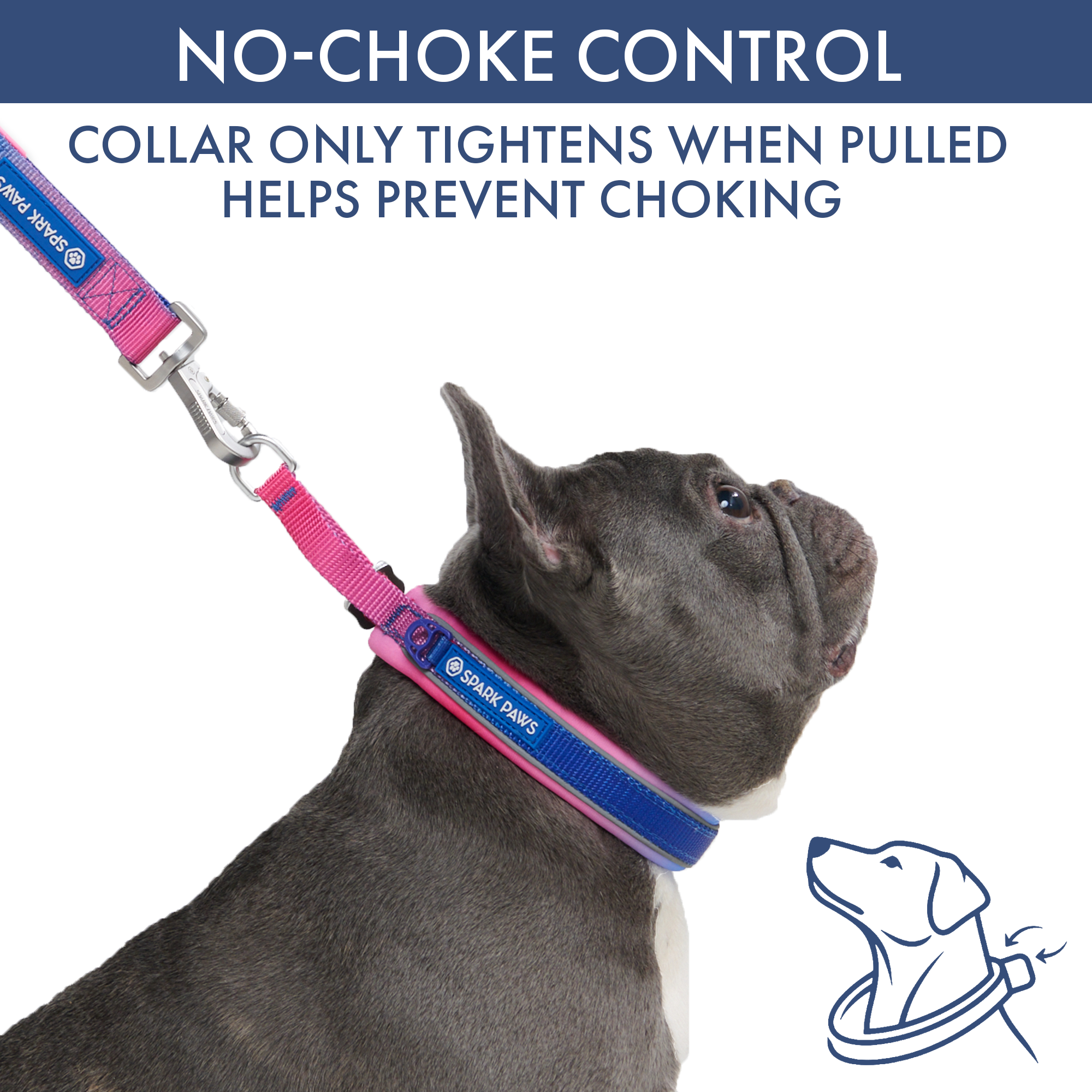 Martingale Collar and Multipurpose Leash Set - Snow Cone - Image 2