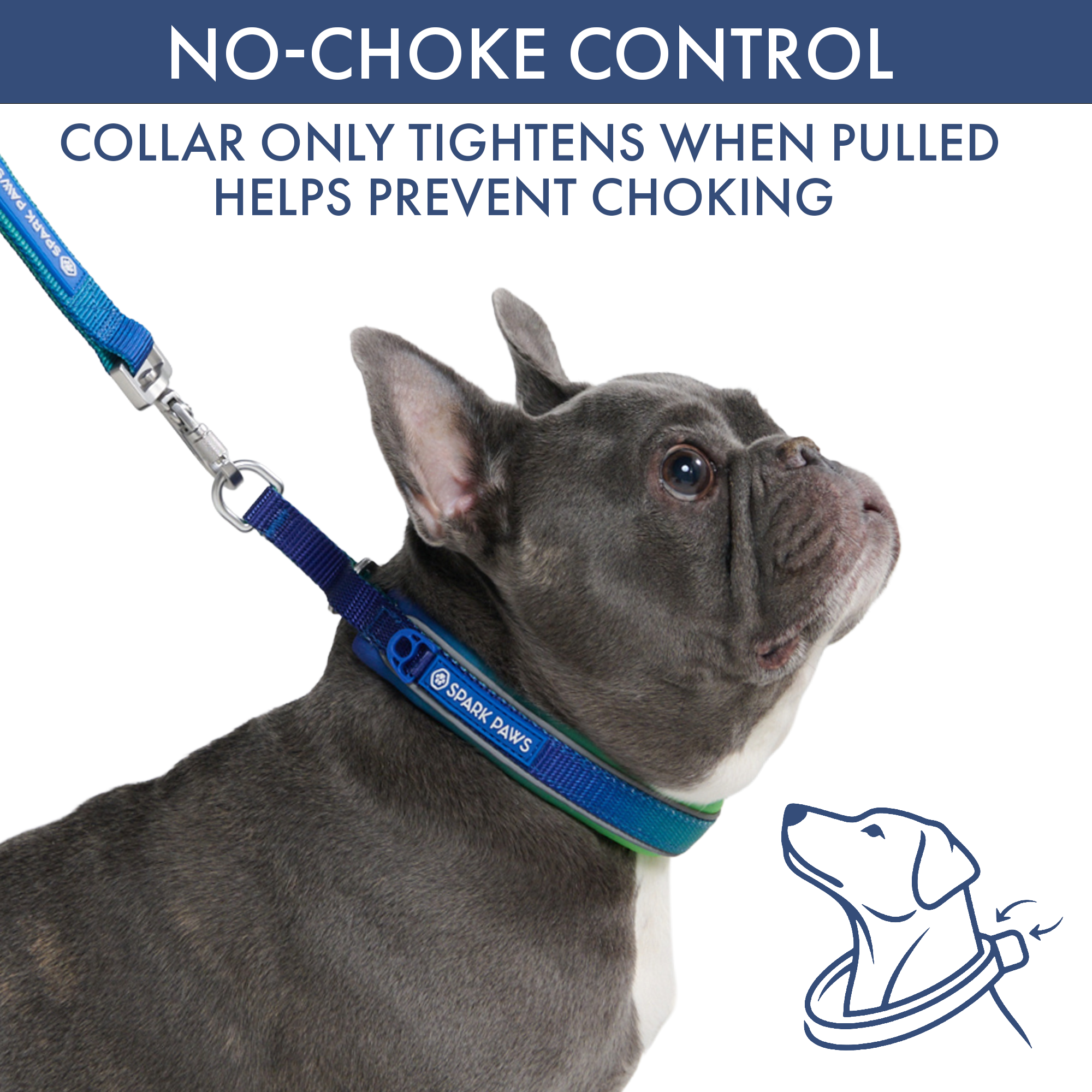 Martingale Collar and Multipurpose Leash Set - Lime Wave - Image 2