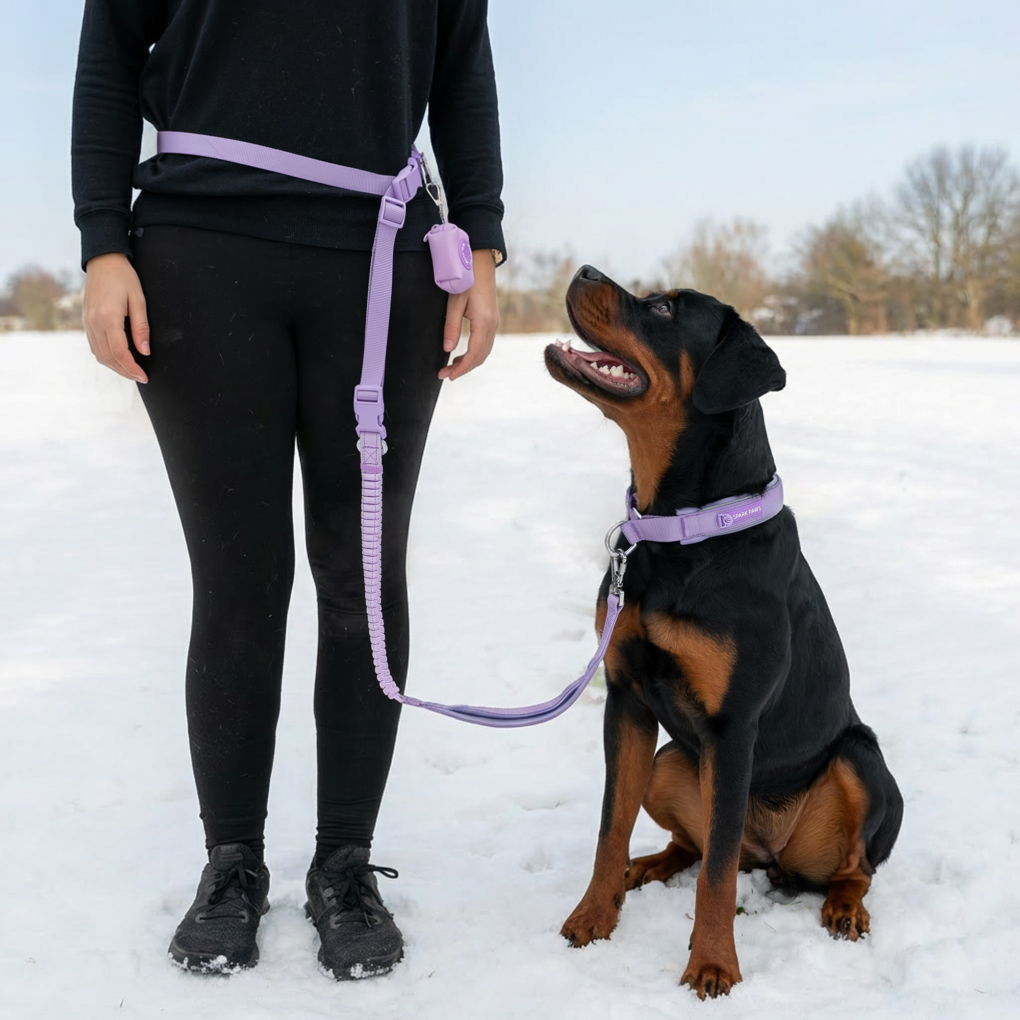 Martingale Collar and Multipurpose Leash Set - Lilac - Image 10