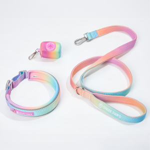 Martingale Collar Set - Pastel Icing