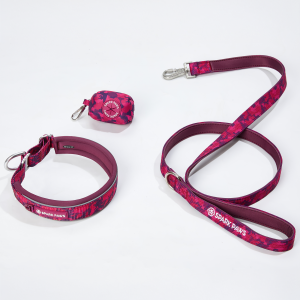 Martingale Collar Set - Fuchsia Camo