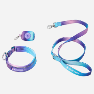Martingale Collar Set - 90s Retro