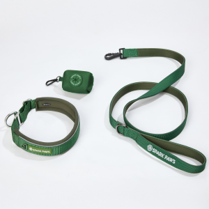 Martingale Collar Set - Army Green