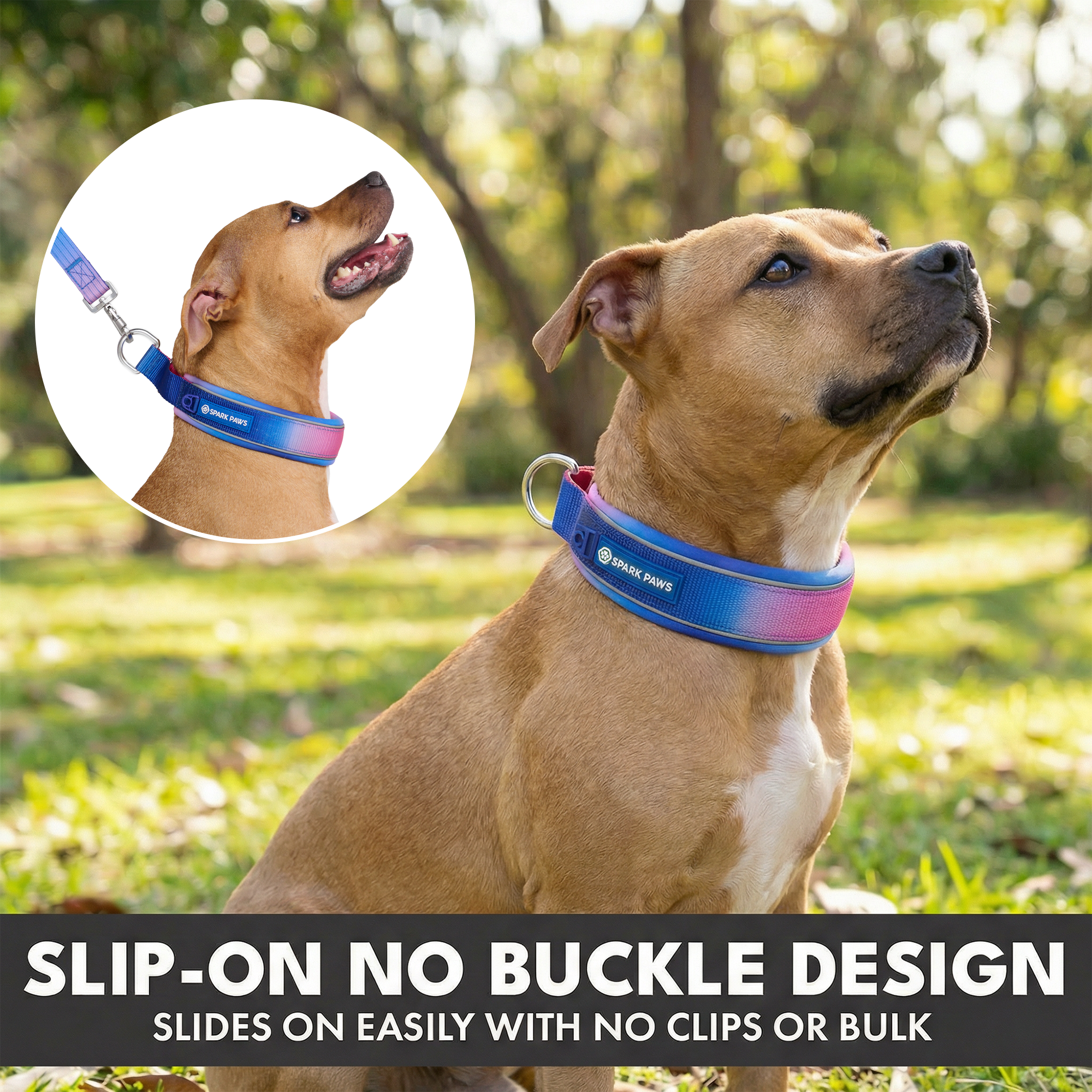 Martingale Collar Set - Snow Cone - Image 5