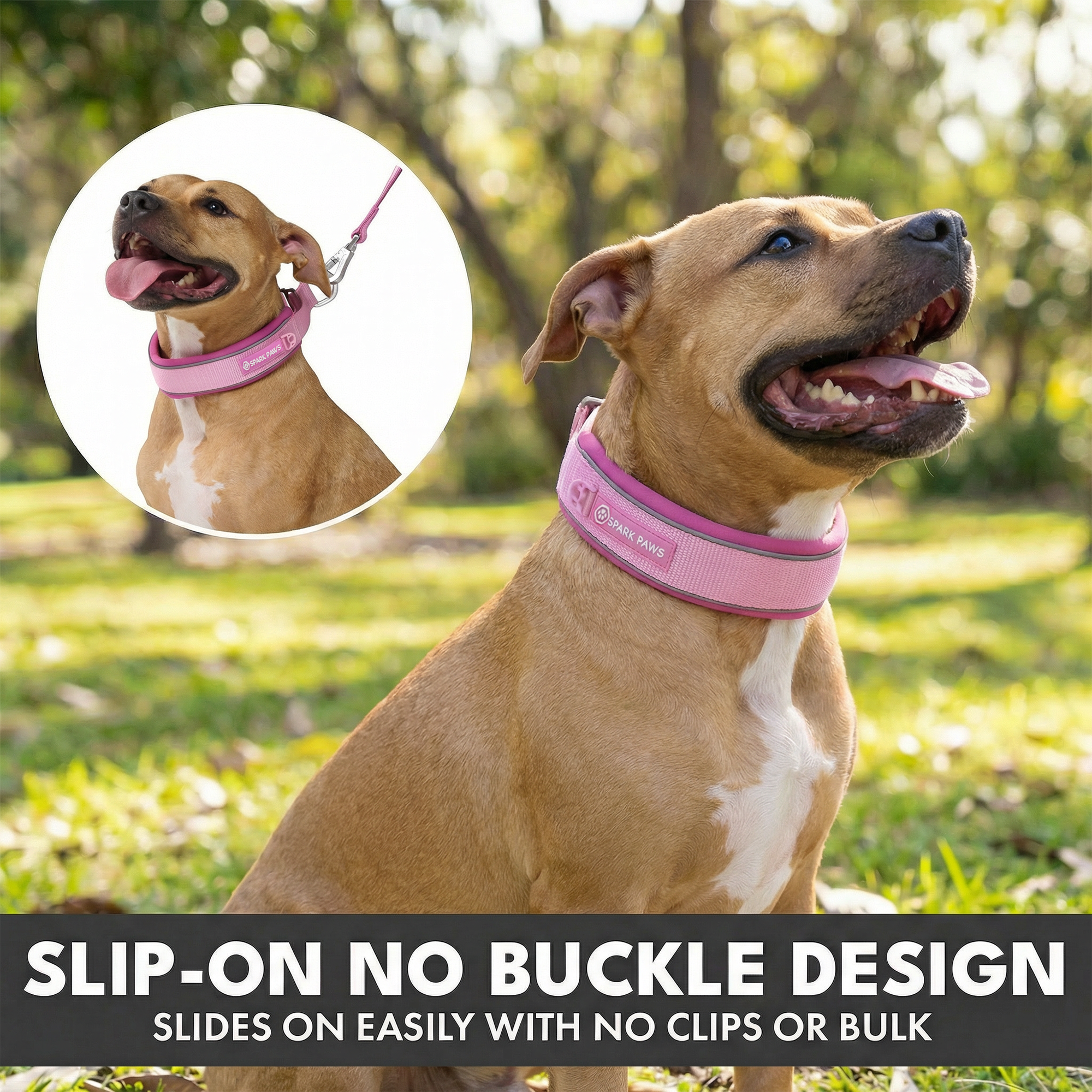 Martingale Collar Set - Pink - Image 5