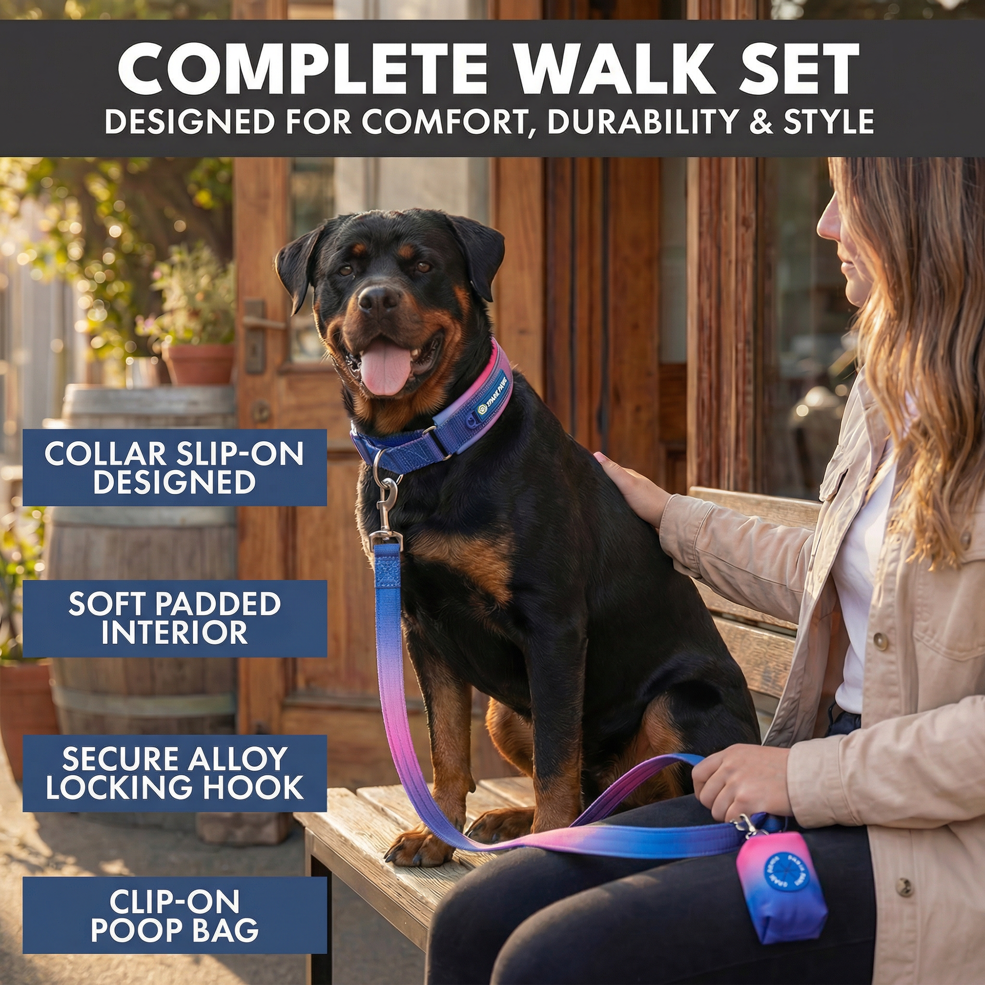 Martingale Collar Set - Snow Cone - Image 7