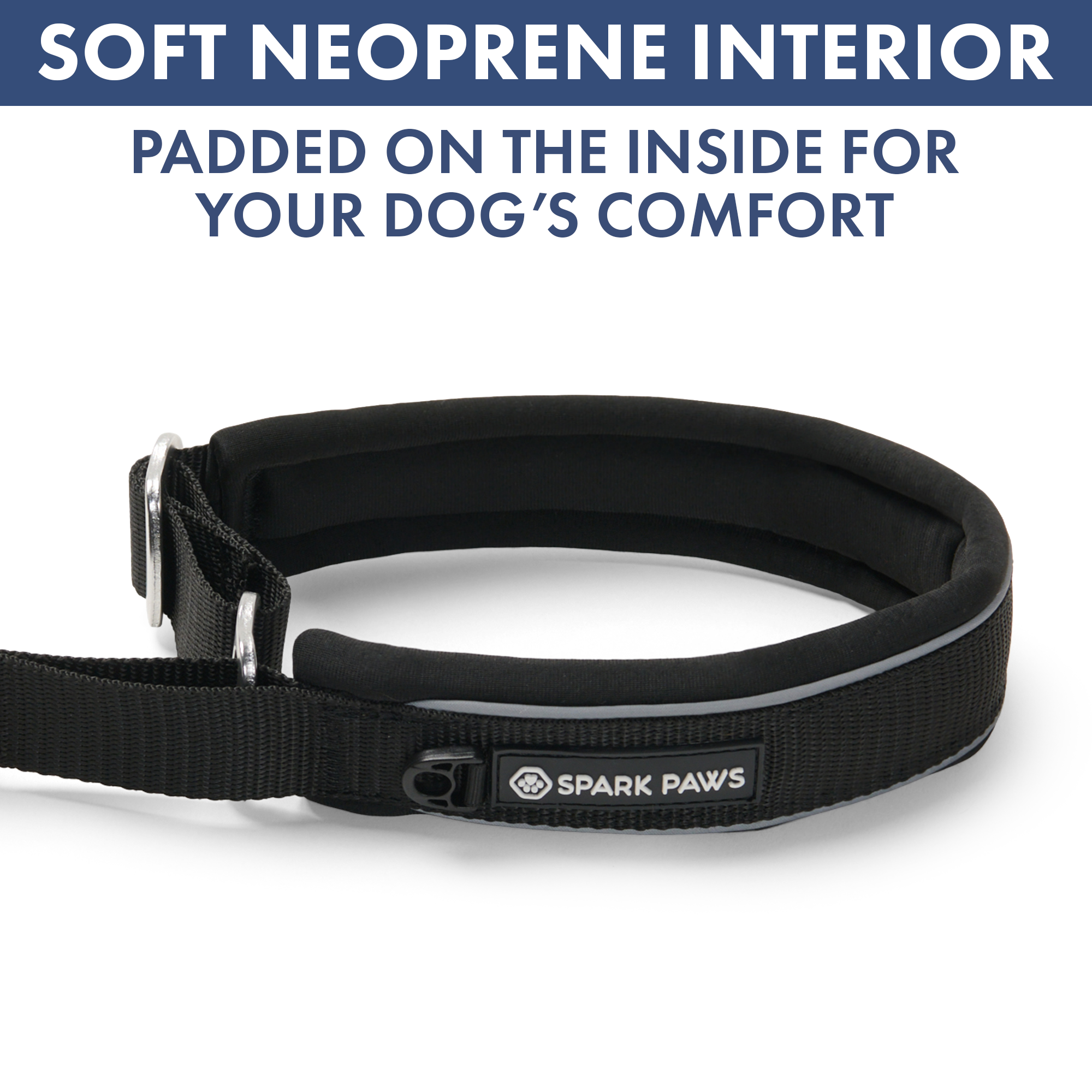 Martingale Collar Set - Black - Image 6