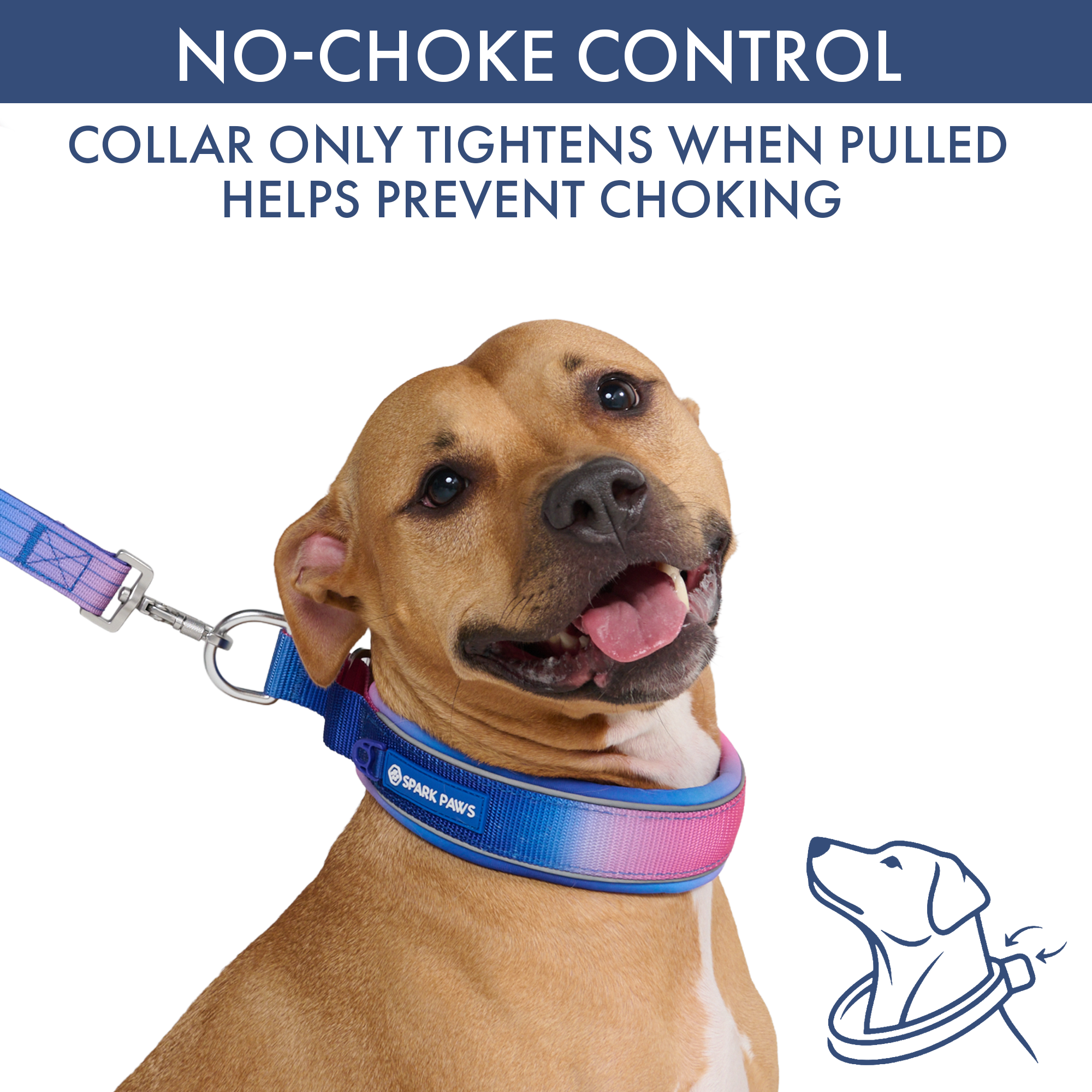 Martingale Collar Set - Snow Cone - Image 3