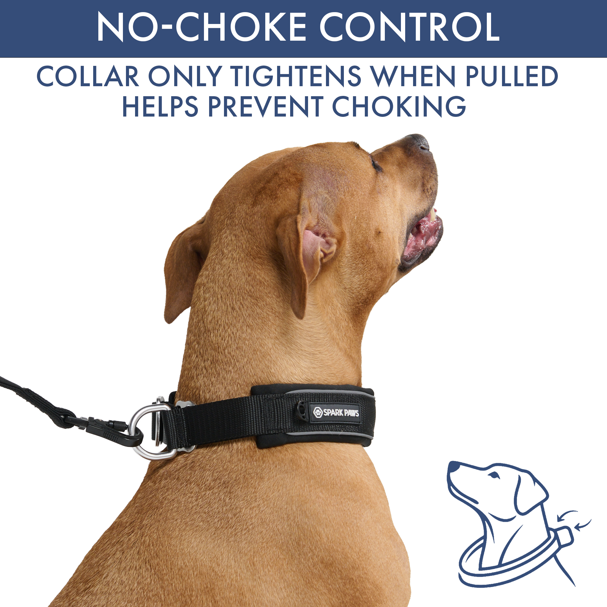Martingale Collar Set - Black - Image 3