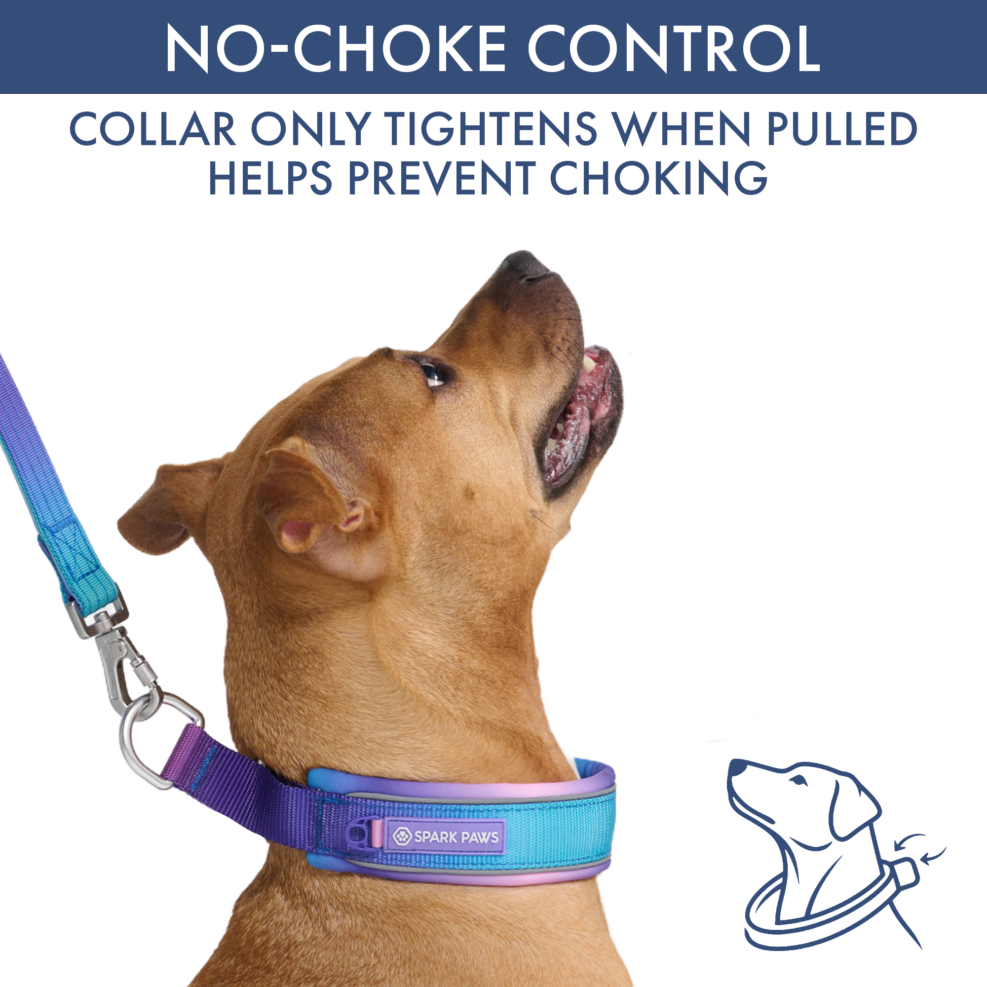 Martingale Collar Set - 90s Retro - Image 3