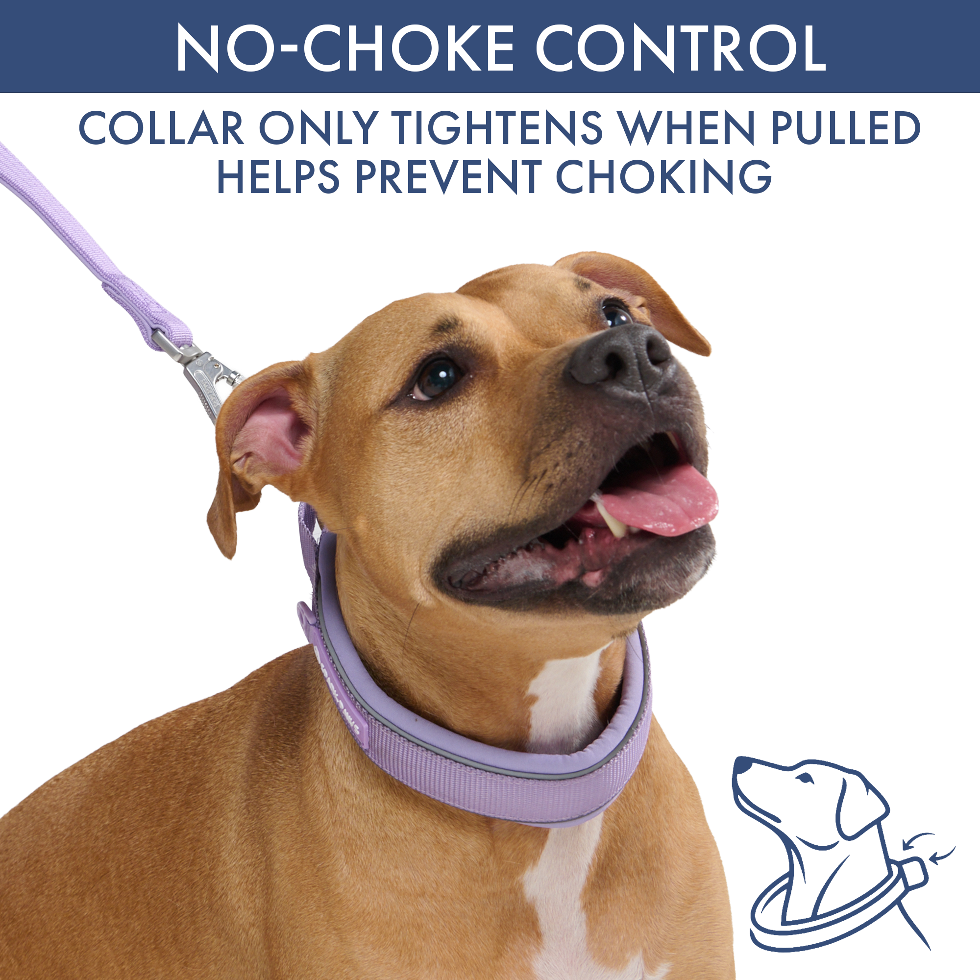 Martingale Collar Set - Lilac - Image 3