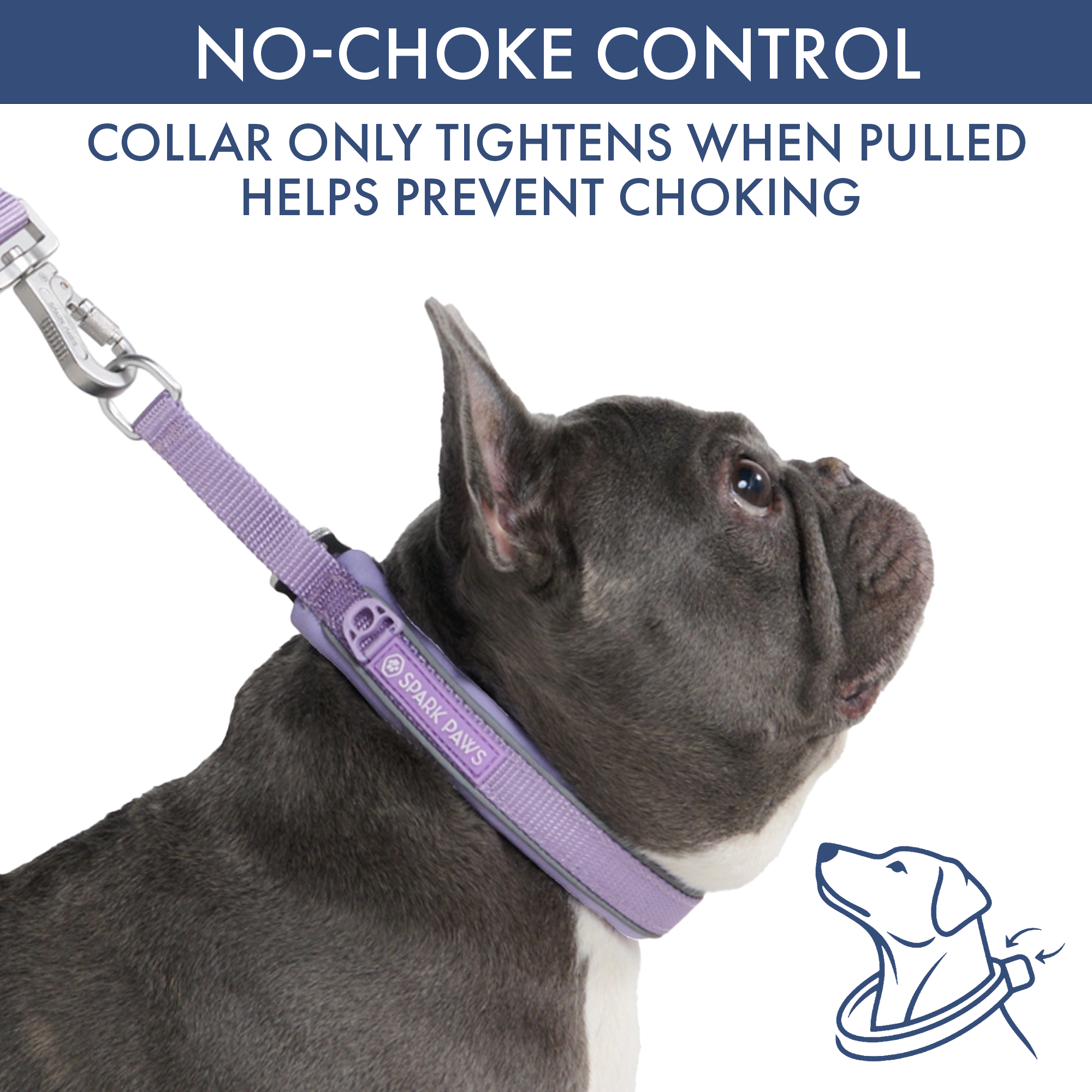 Martingale Collar Set - Lilac - Image 2