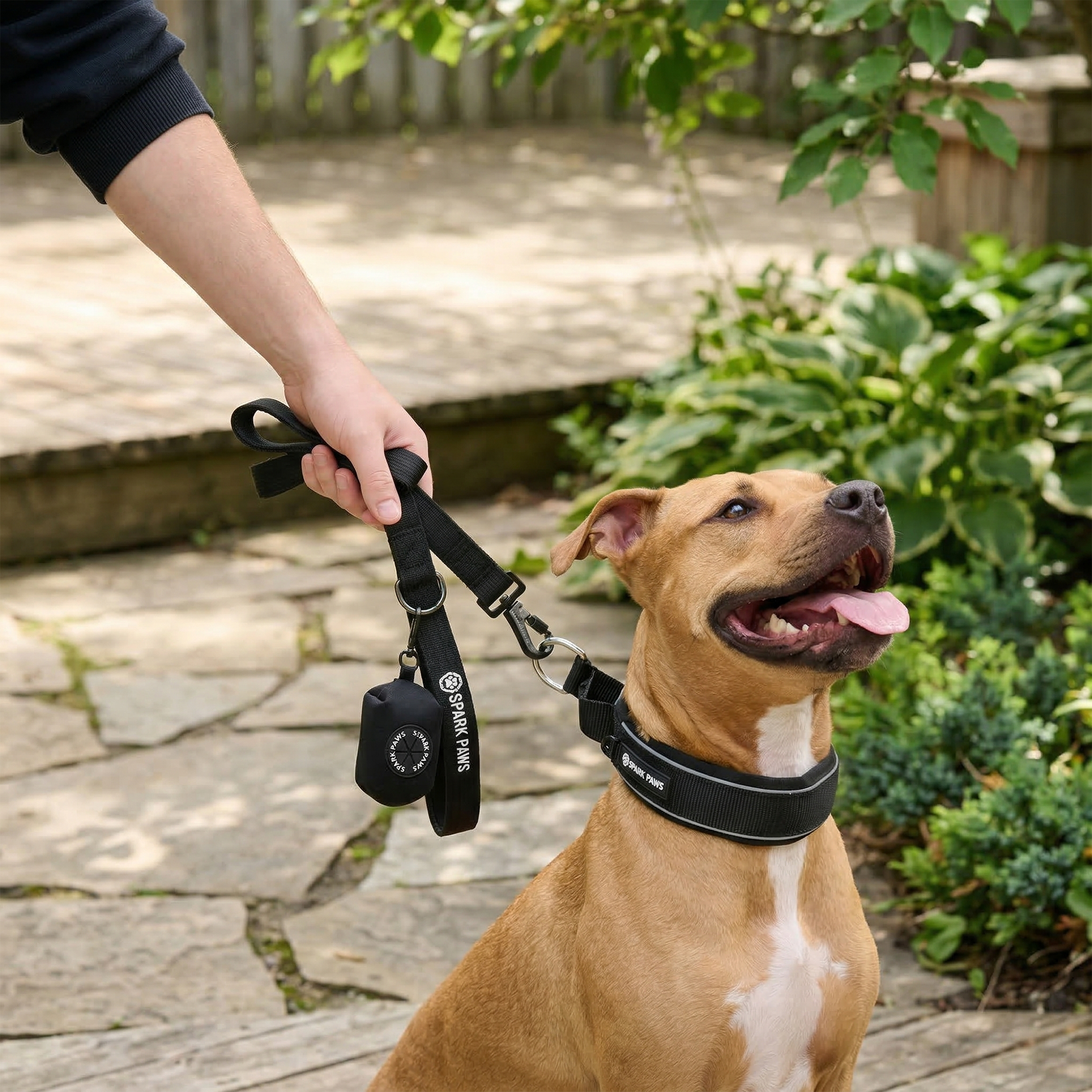 Martingale Collar Set - Black - Image 10