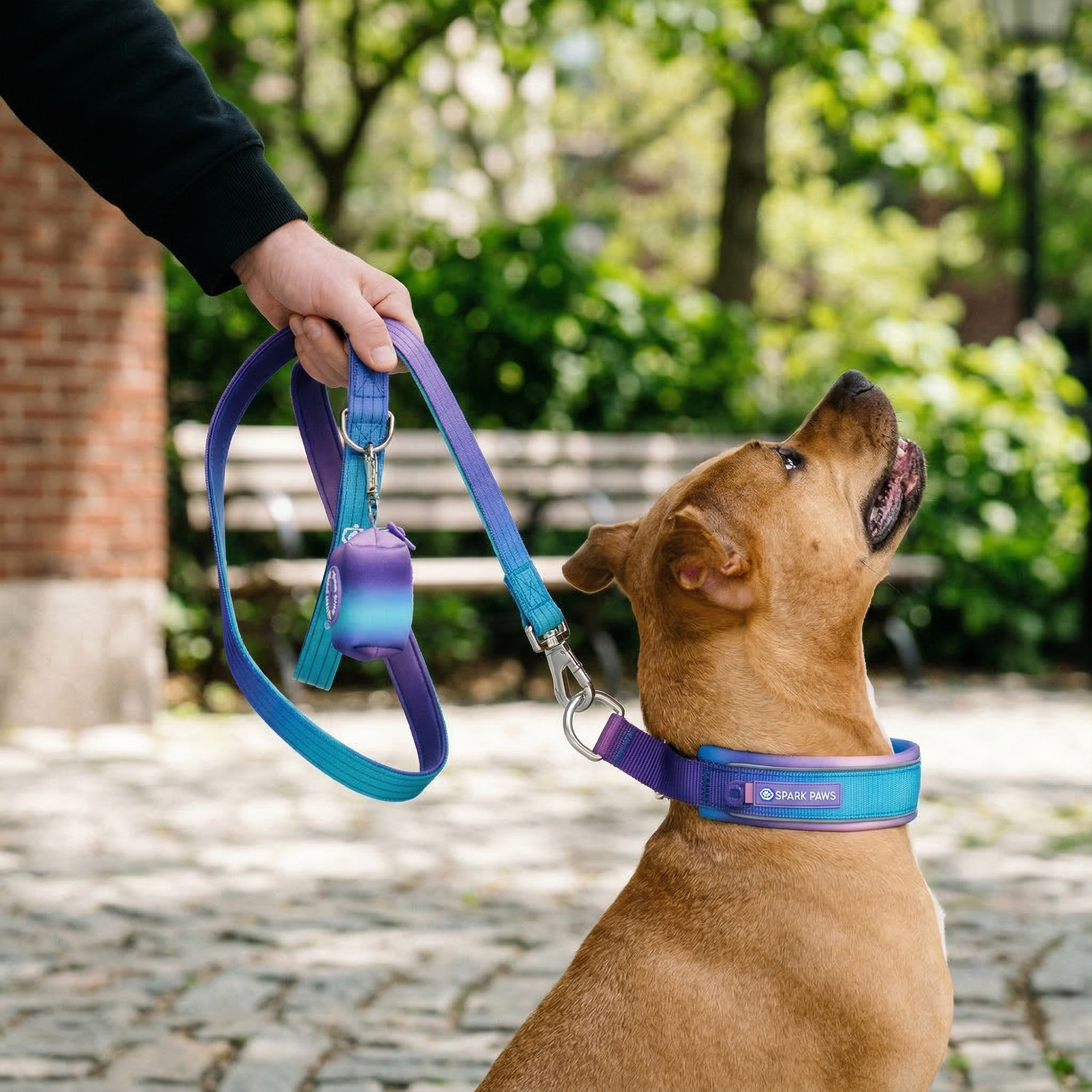 Martingale Collar Set - 90s Retro - Image 10