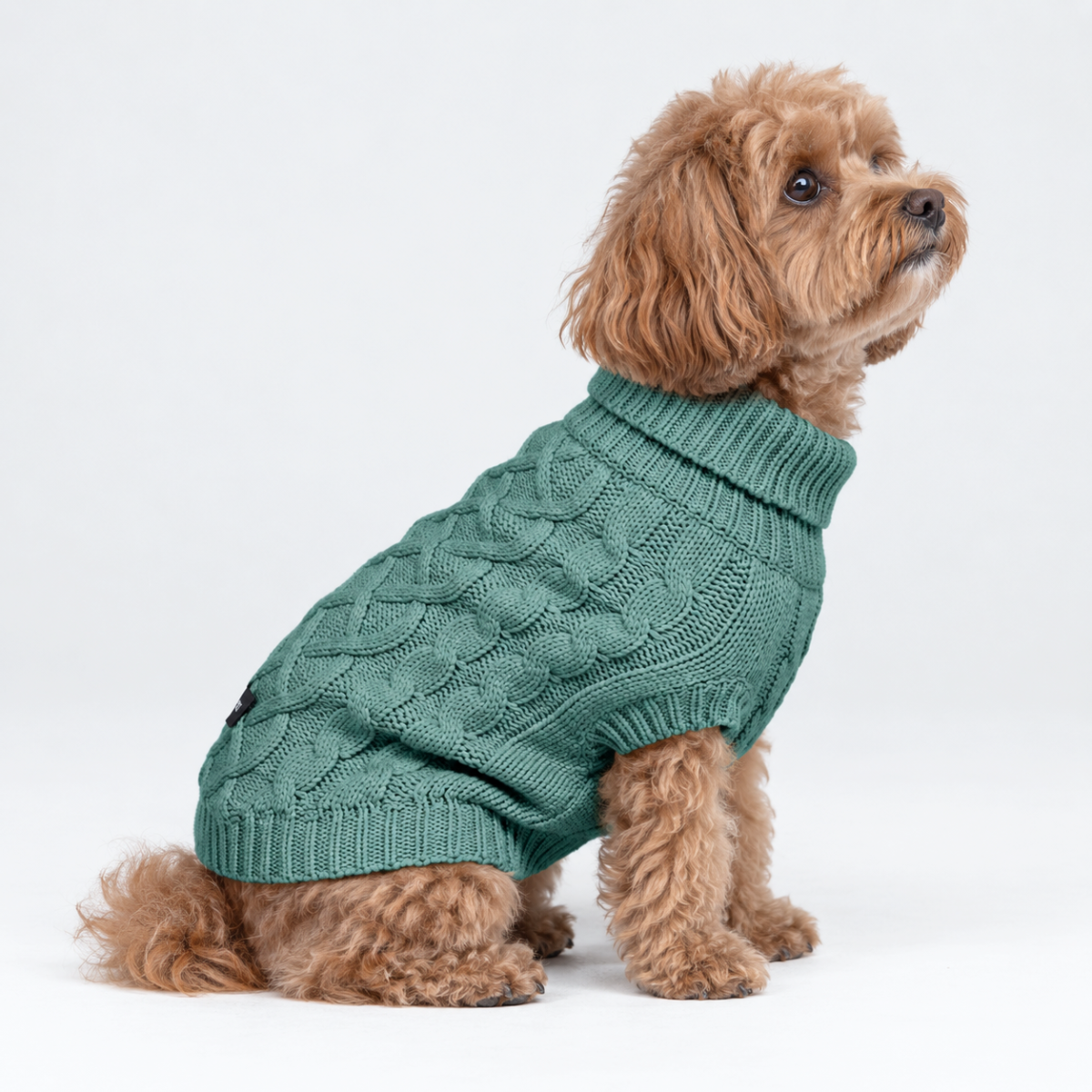 Cable Knit Dog Sweater - Pine Green - Image 3