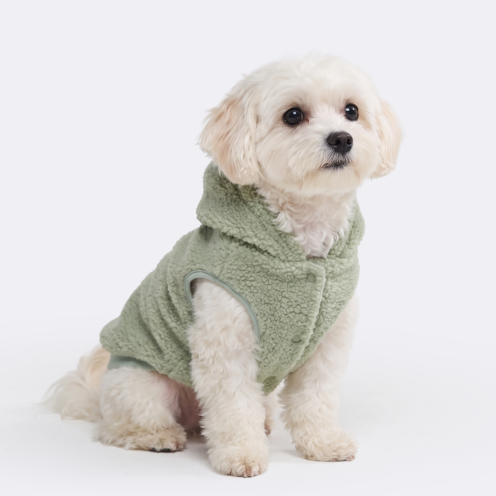 Teddy Sherpa Dog Jacket - Light Green - Image 3