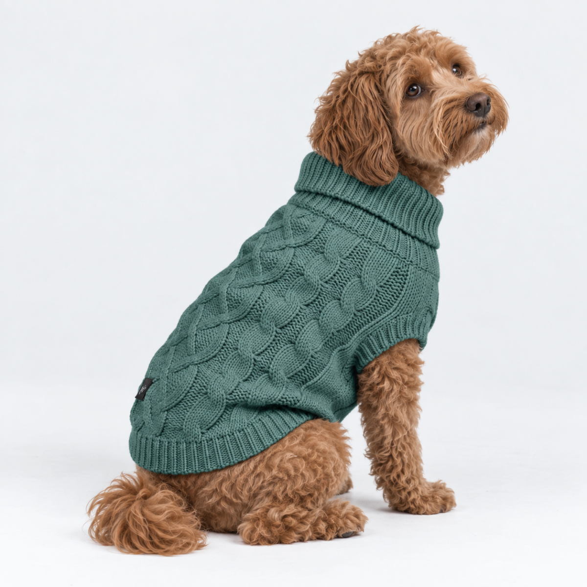 Cable Knit Dog Sweater - Pine Green - Image 4